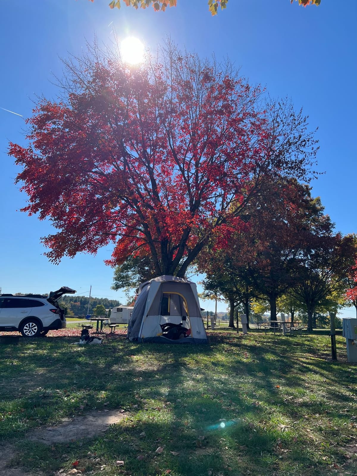 Timber Ridge Truck-Bed-Tents SUV Camping Tent customer photo 1