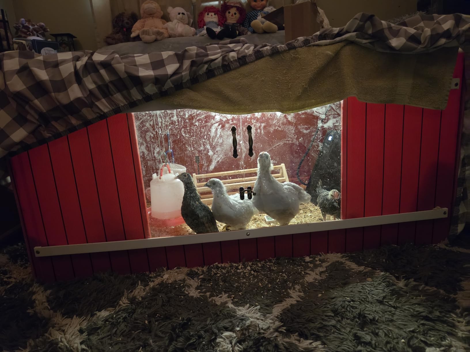 RentACoop Big Red Barn Chick Brooder customer photo 1