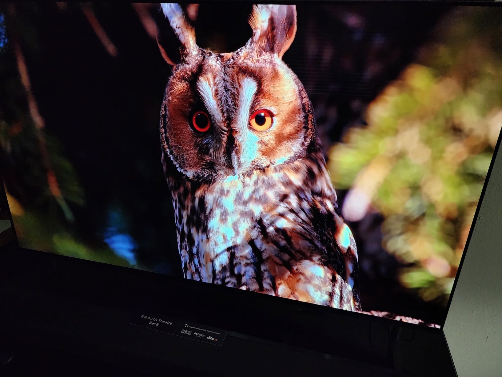 Sony 77 Inch BRAVIA 8 OLED 4K HDR Smart Google TV (K-77XR80) customer photo 1