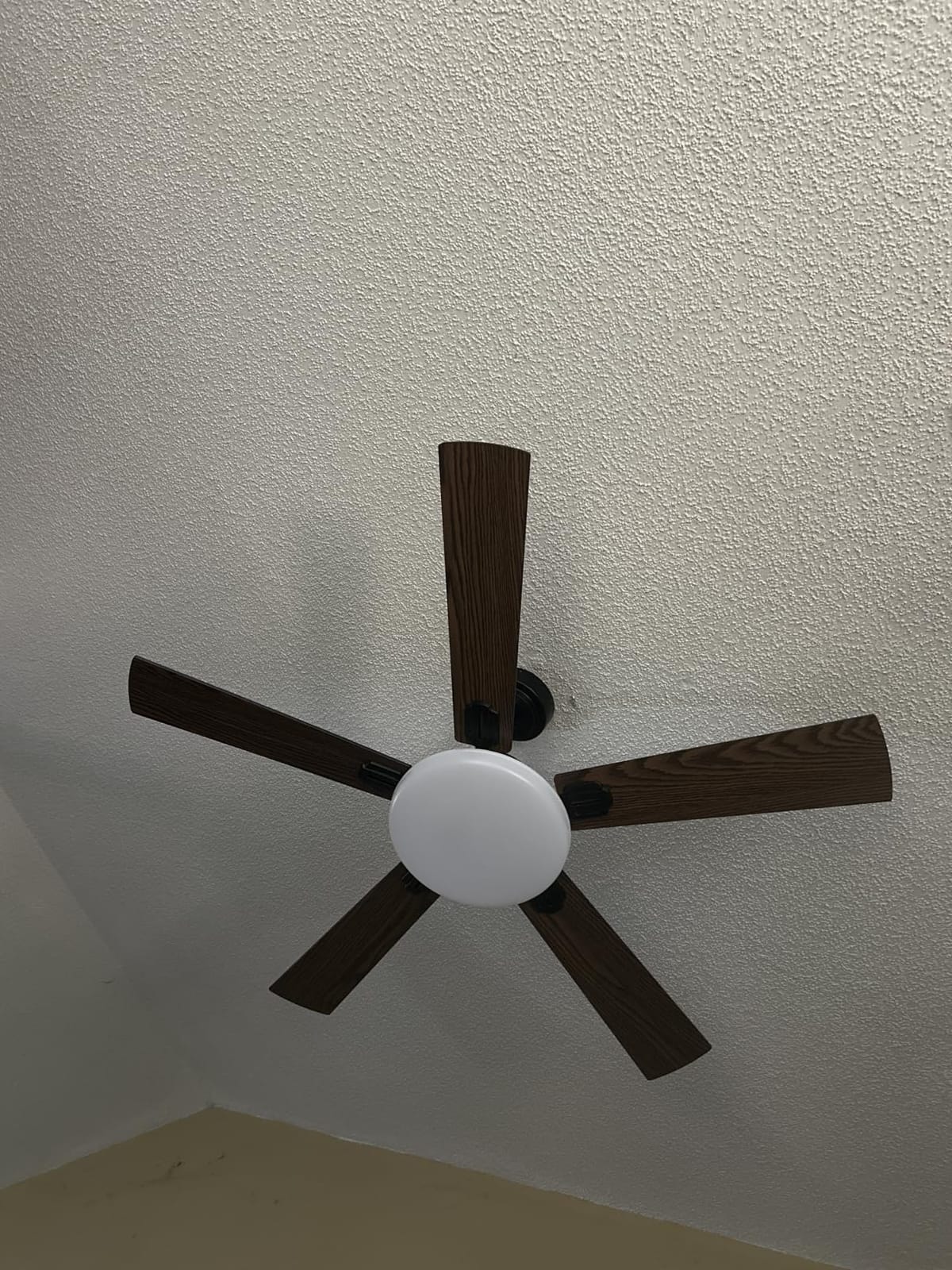 addlon 52 Inch Ceiling Fans with Lights and Remote Control, Wall Switch customer photo 1