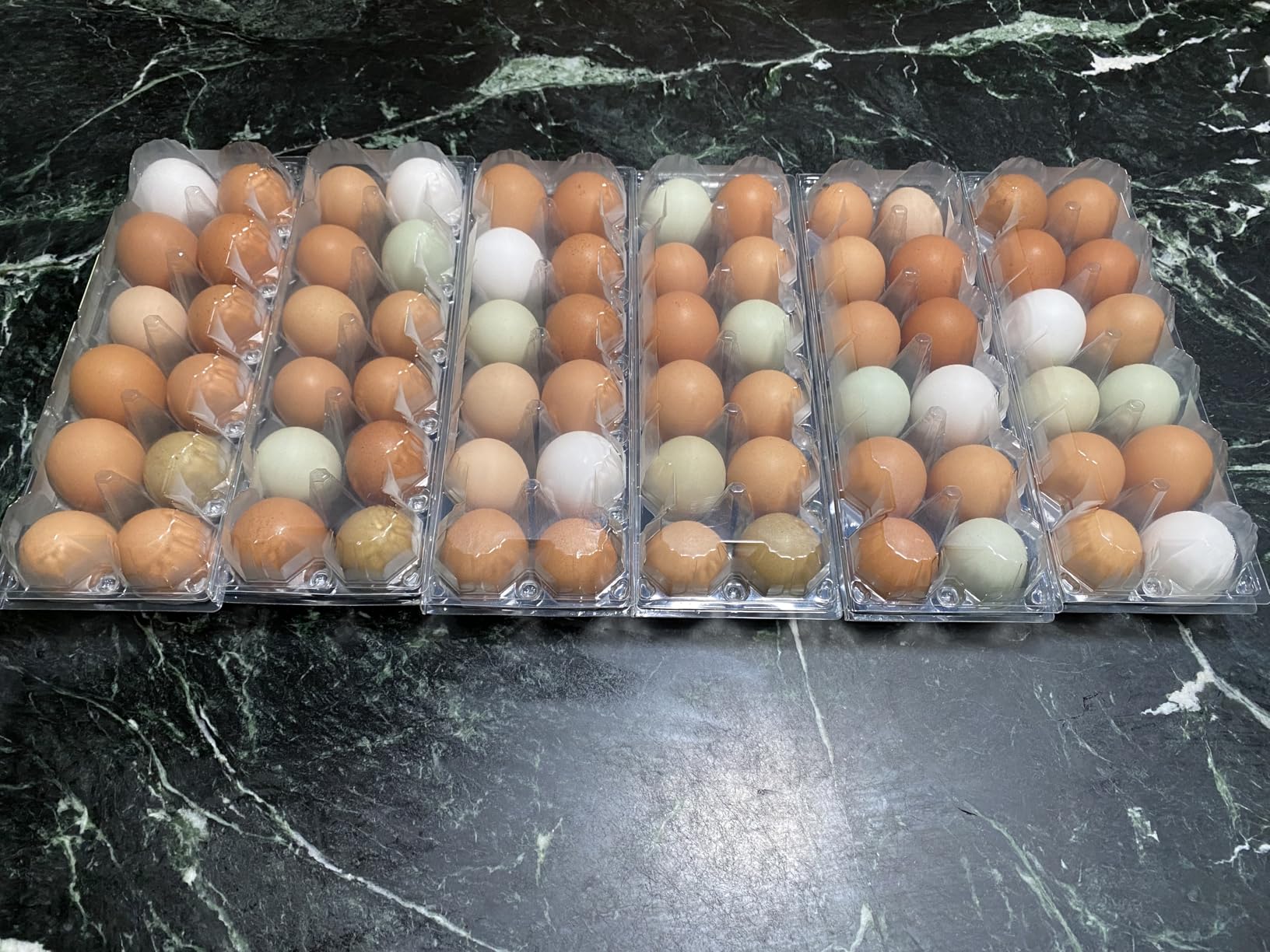 SINLUCESCE 60 Packs Egg Cartons Cheap Bulk, Plastic for 12 Eggs, Clear Egg Cartons 2 x 6 Grids, Perfect for Refrigerator Family Farm Commercial Business Market Display customer photo 2