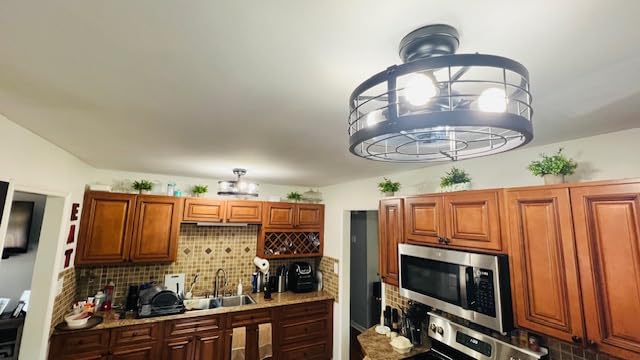 LEDIARY 20 inch Fandelier Caged Ceiling Fan with Light and Remote, Black customer photo 2