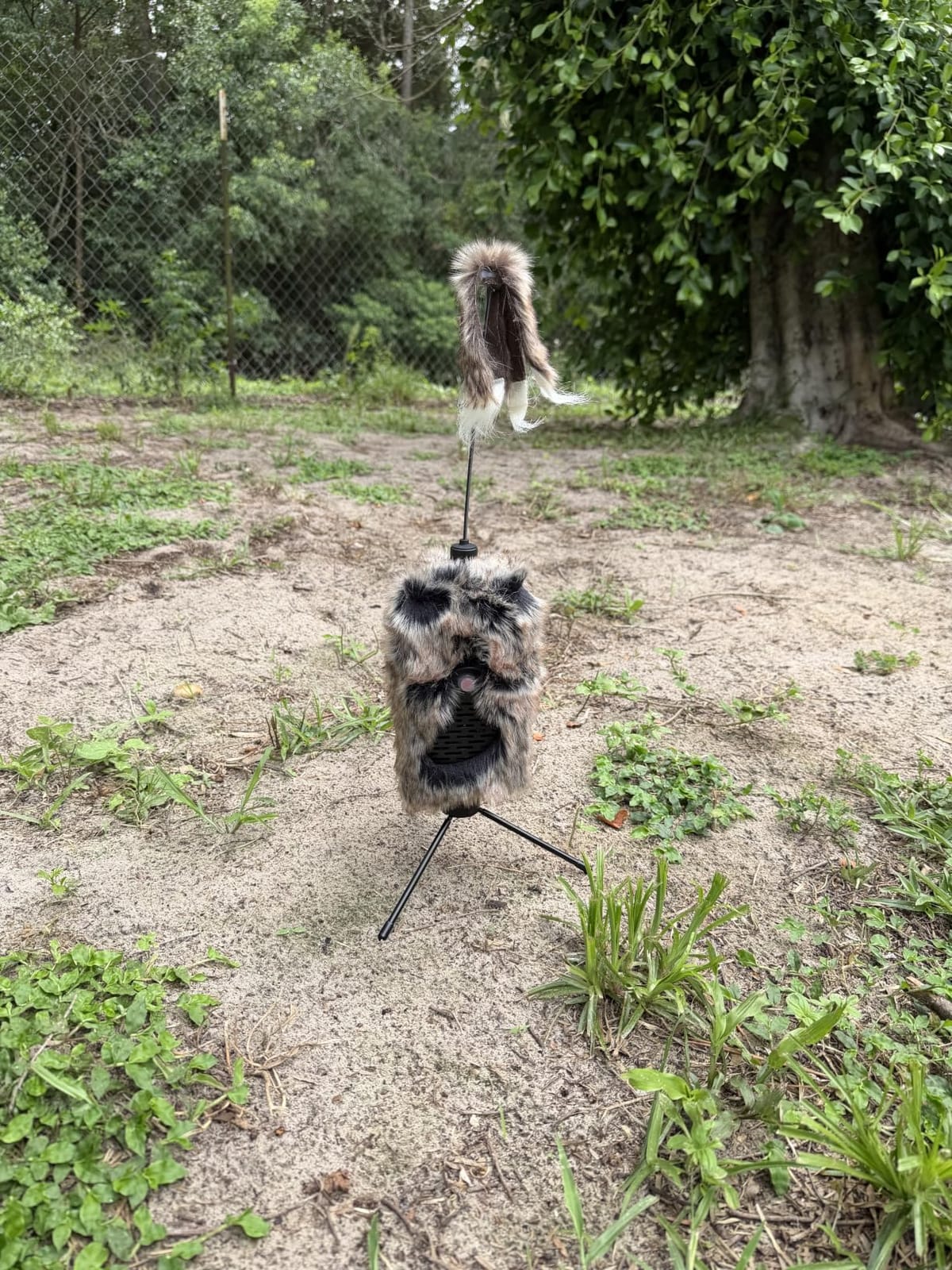 Icotec Furnado Predator Game Caller Decoy Combo - Designed for Coyote, Fox, Bobcat, Raccoon Hunting - 15 Sounds Included, 150 Yard Remote Range. customer photo 1