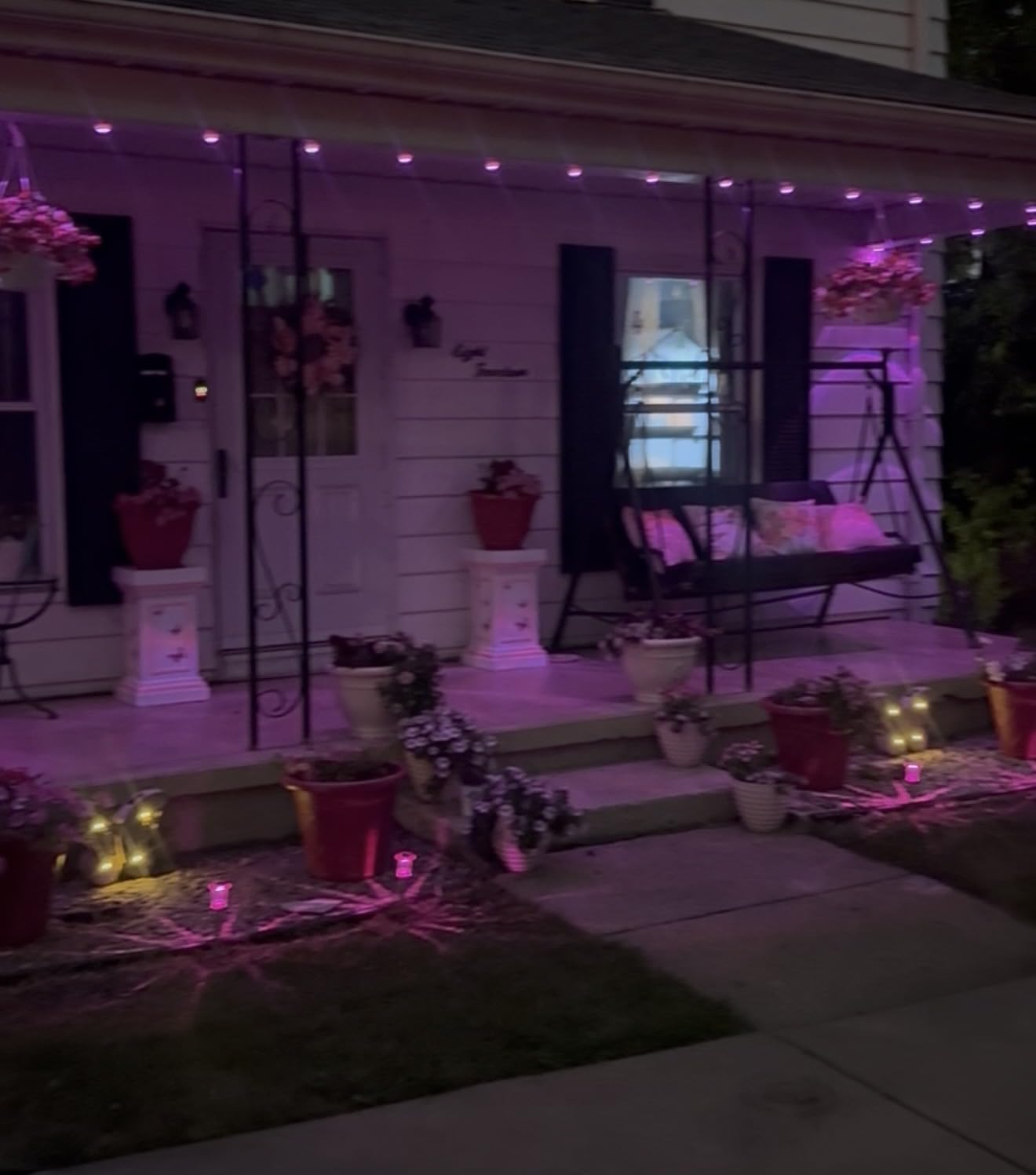 Halloween Solar Lights Outdoor 10 Pack LED Purple Pathway Lights customer photo 1