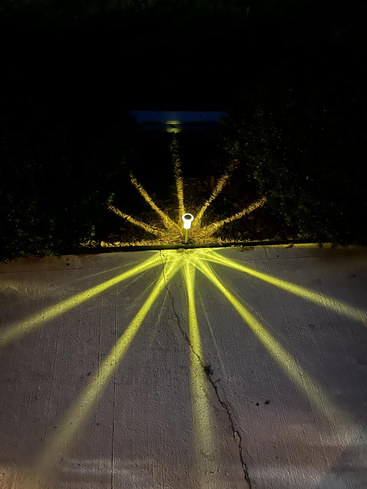 Halloween Solar Lights Outdoor 10 Pack LED Purple Pathway Lights customer photo 2
