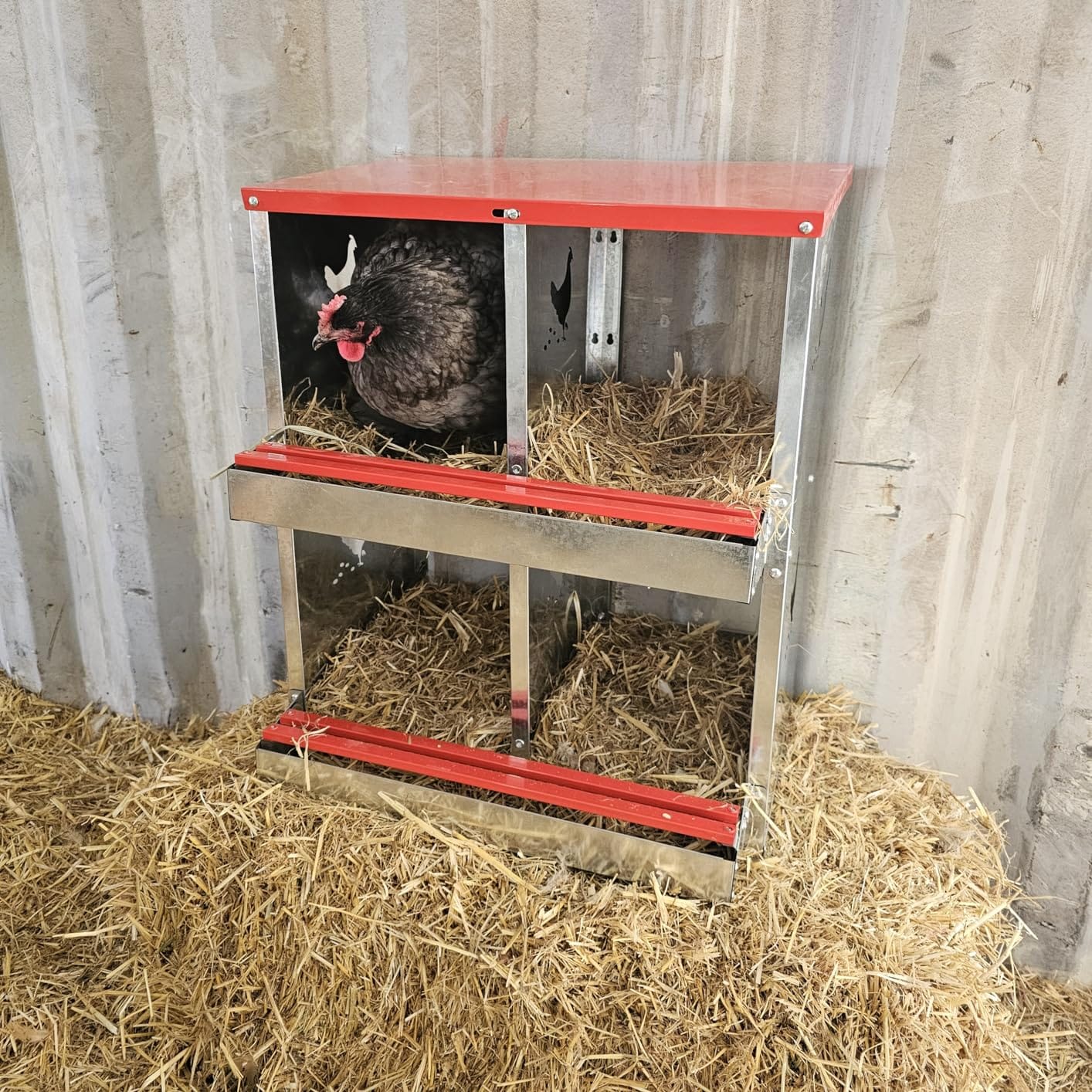 Chicken Nesting Boxes - 10 Compartment Metal Poultry Nest Box Wall Mount for Chickens, Hens, Ducks - Easy Egg Collection - Large Vented Holes Chicken Coop Equipment (10 Compartment) customer photo 2