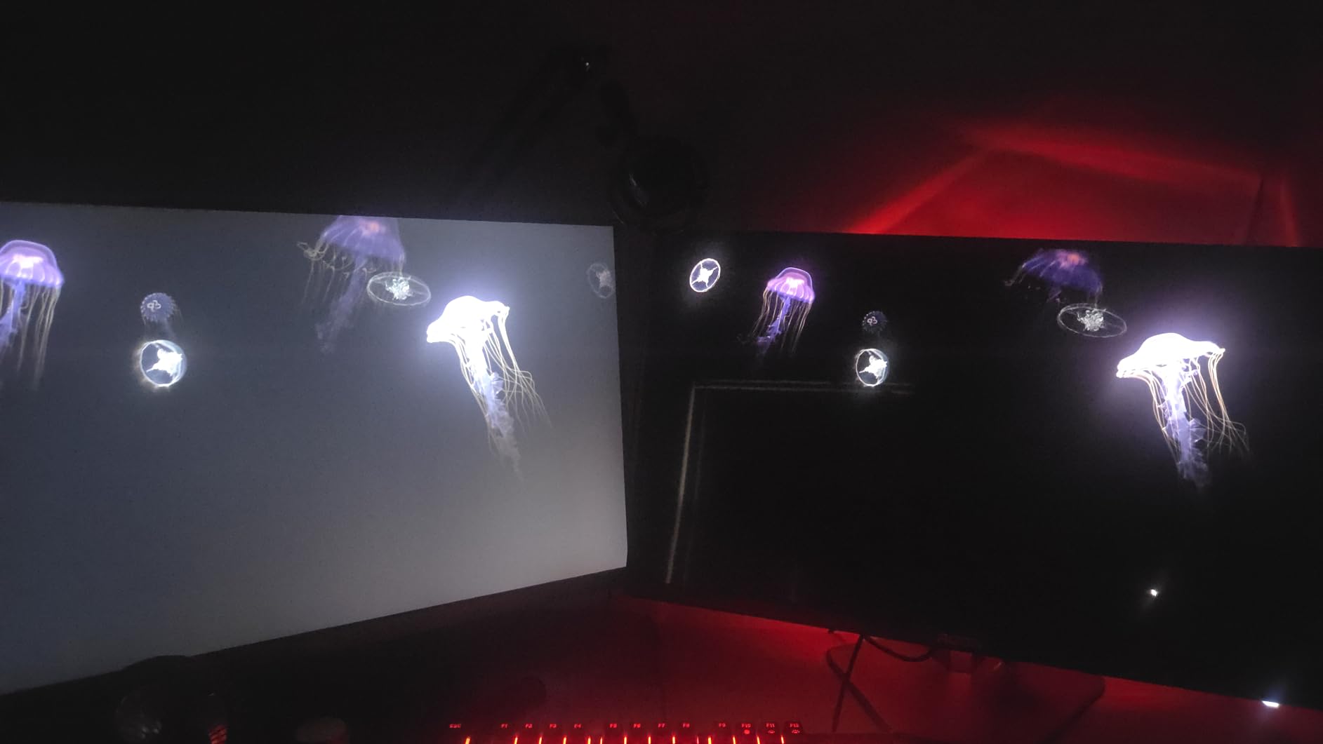 AOC Agon Pro 27 Inch Gaming Monitor QD OLED 240Hz 0.03ms, AG276QZD2 customer photo 2