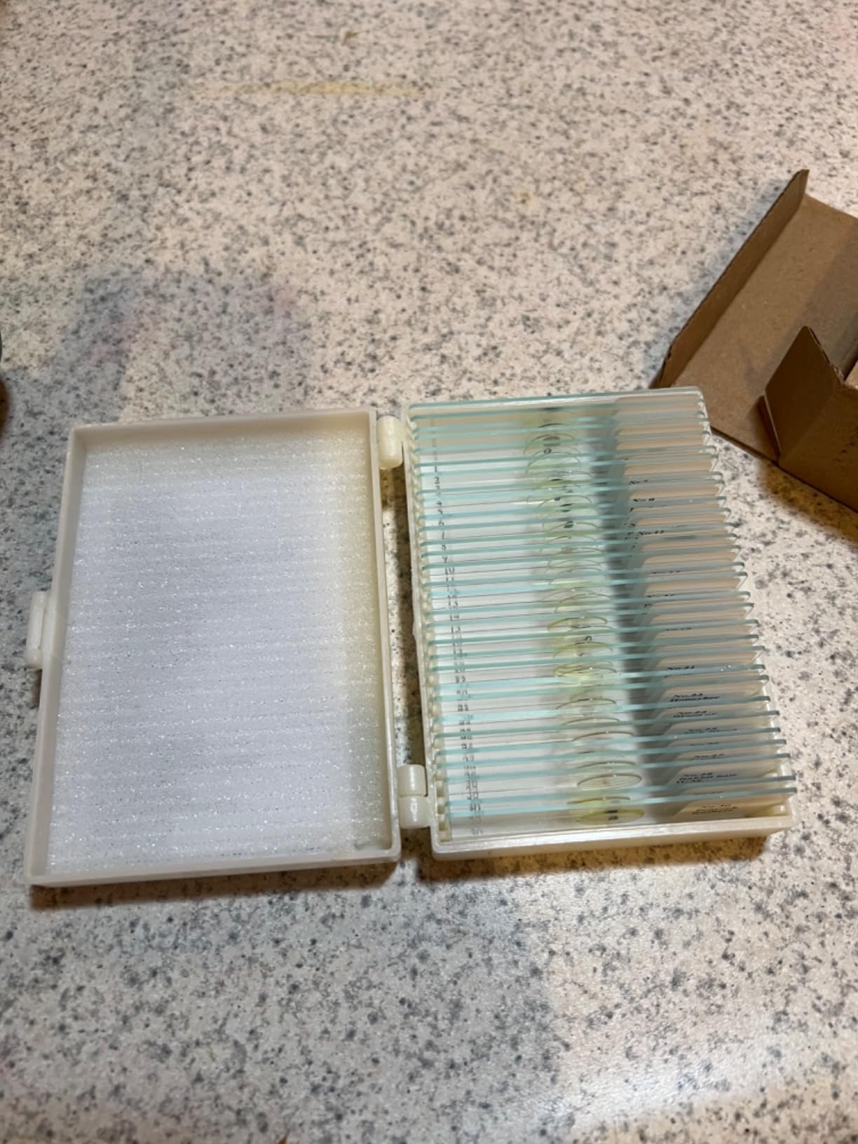 120 Microscope Slides with Specimens, Plant, Insect, Animal, Algae Slide Set for Biological Science Laboratory Basic Biological Science Education customer photo 1