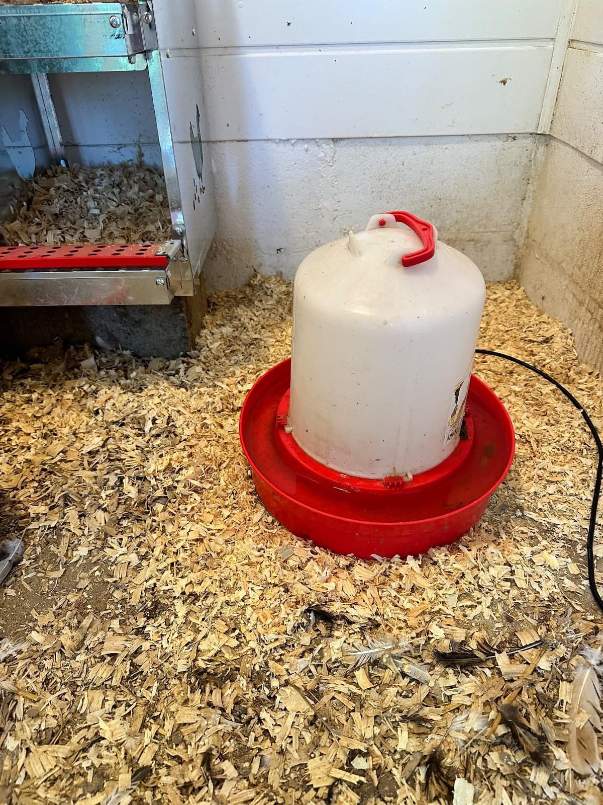 Chicken Water Heater for Winter， Heated Poultry Waterer Base,with Thermostat and 9.8ft Power Cord, Dia.11in customer photo 2