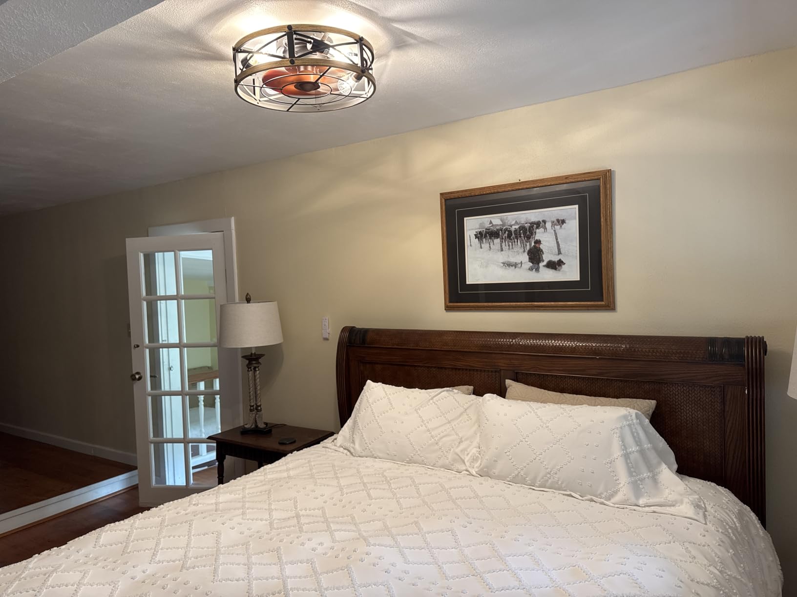 SHLUCE Caged Ceiling Fan with Light and Remote, Farmhouse Fandelier | 19