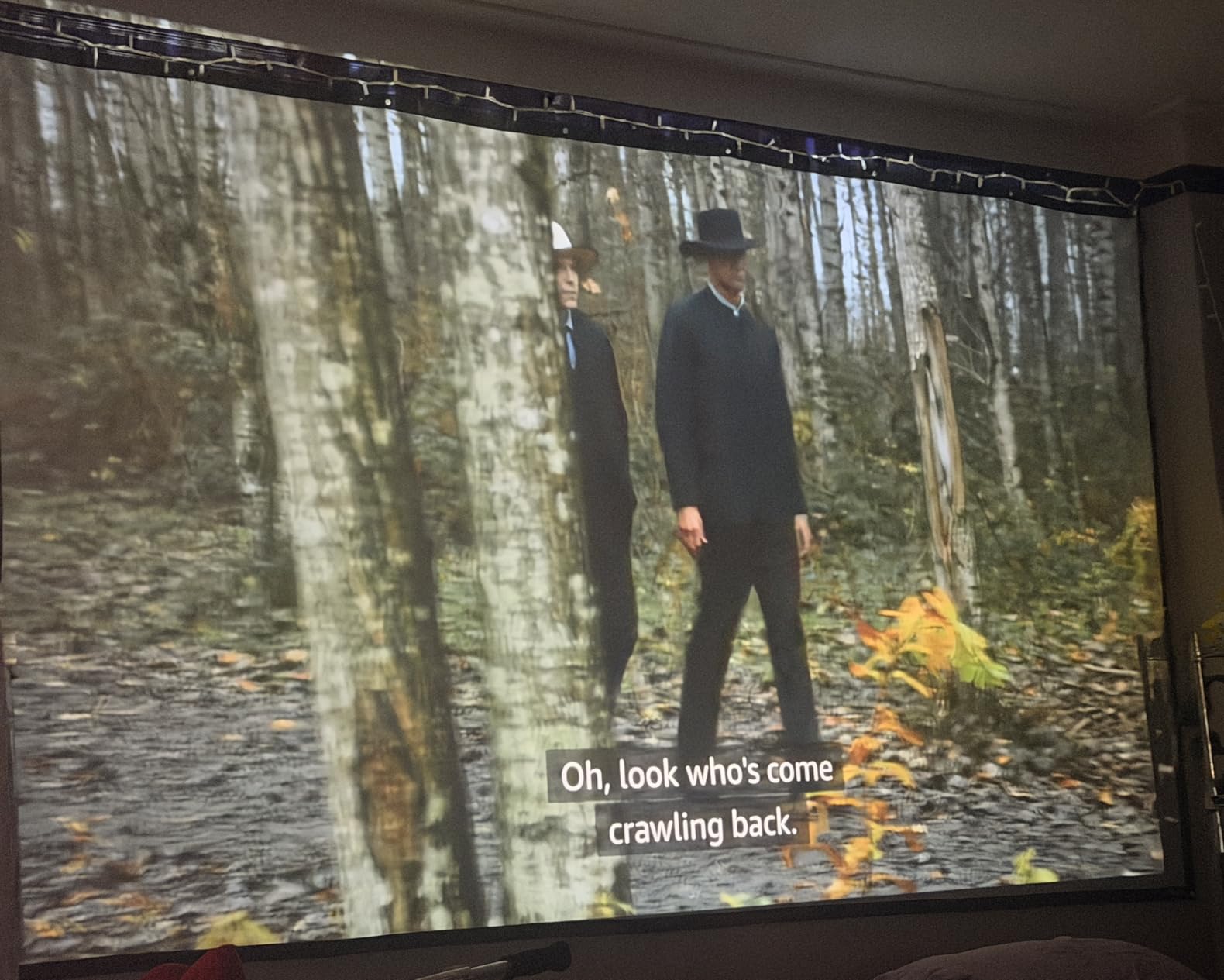 120 Inch Projector Screen with Black Backing, Foldable 16:9 | Black-backed polyester screen with straight edges; washable and wrinkle-resistant for home theaters and outdoor movie nights. customer photo 1