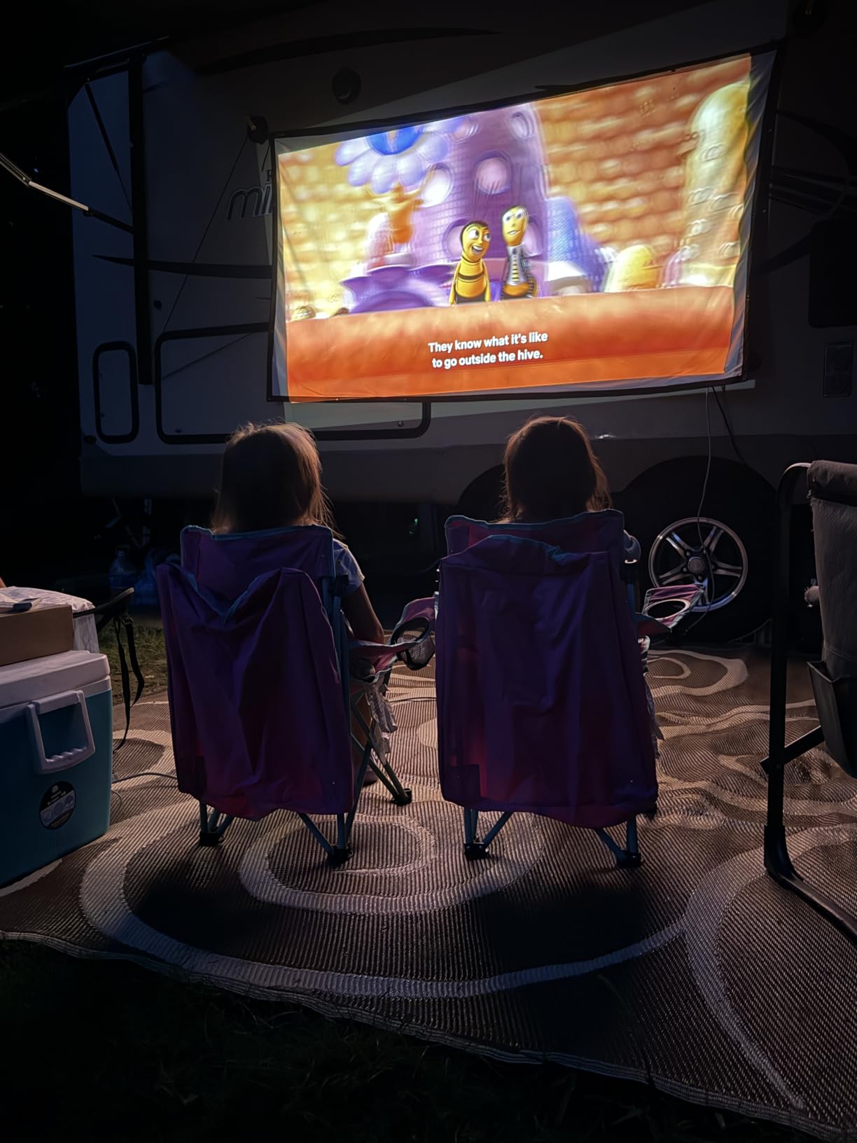 120 Inch Projector Screen with Black Backing, Foldable 16:9 | Black-backed polyester screen with straight edges; washable and wrinkle-resistant for home theaters and outdoor movie nights. customer photo 2