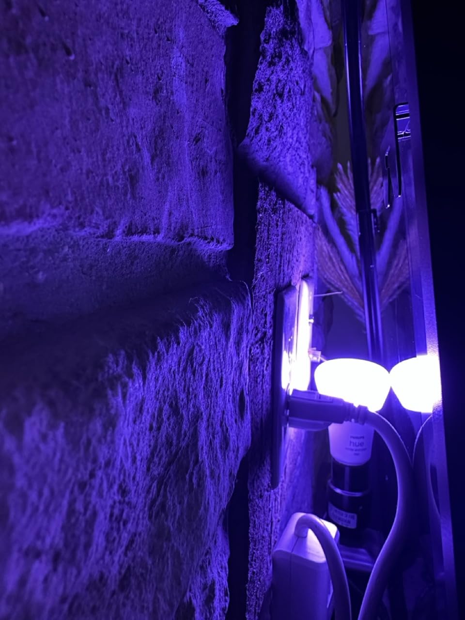 Philips Hue Smart Light Bulbs Starter Kit, Includes (1) Bridge, (2) 75W A19 Bulbs, White and Color Ambiance LED Color Changing Lights, 1100LM, E26, Control with App or Voice Assistant customer photo 2