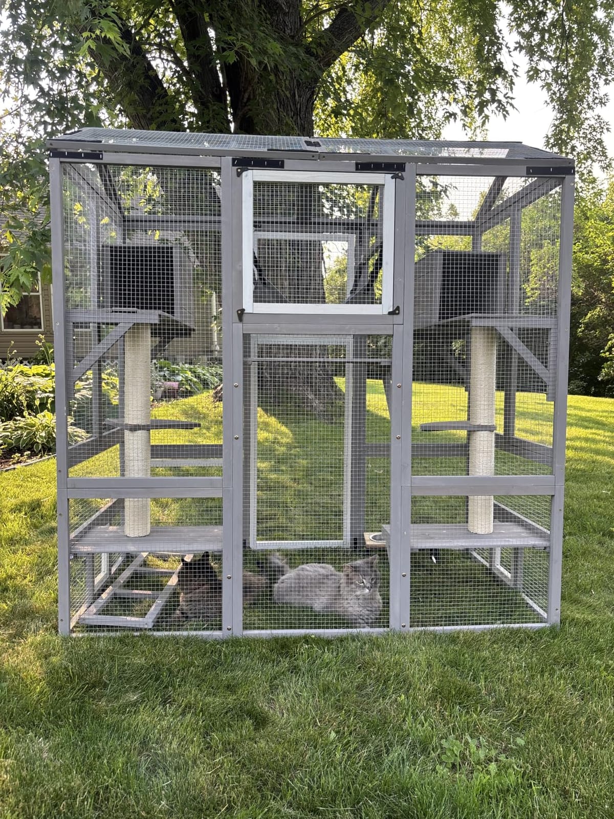 Ketive Catio Outdoor Cat Enclosure with Window Access & Weatherproof Roof | Walk-In Catio, Window Access, Multi-Level Design, Weatherproof Roof, Large Cat Enclosure, Outdoor Cat House, Multiple Cats customer photo 1