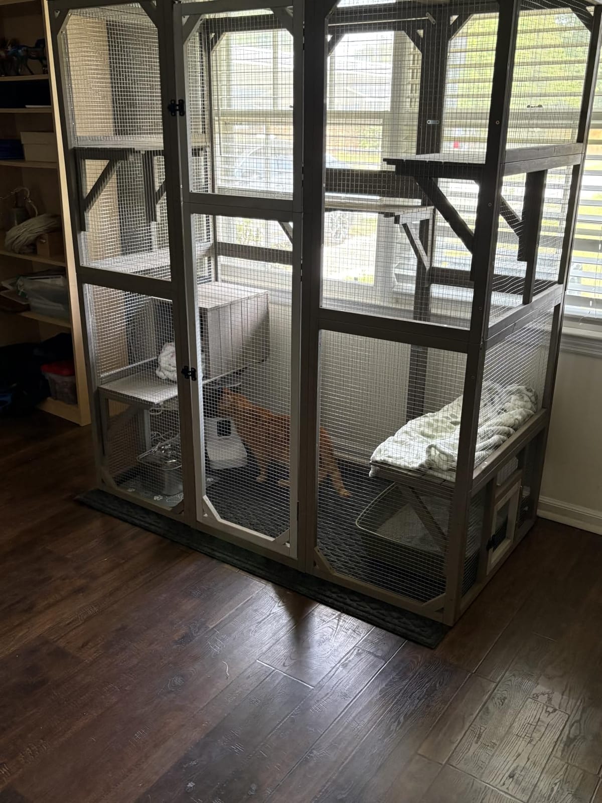 Ketive Catio Outdoor Cat Enclosure with Window Access & Weatherproof Roof | Walk-In Catio, Window Access, Multi-Level Design, Weatherproof Roof, Large Cat Enclosure, Outdoor Cat House, Multiple Cats customer photo 2