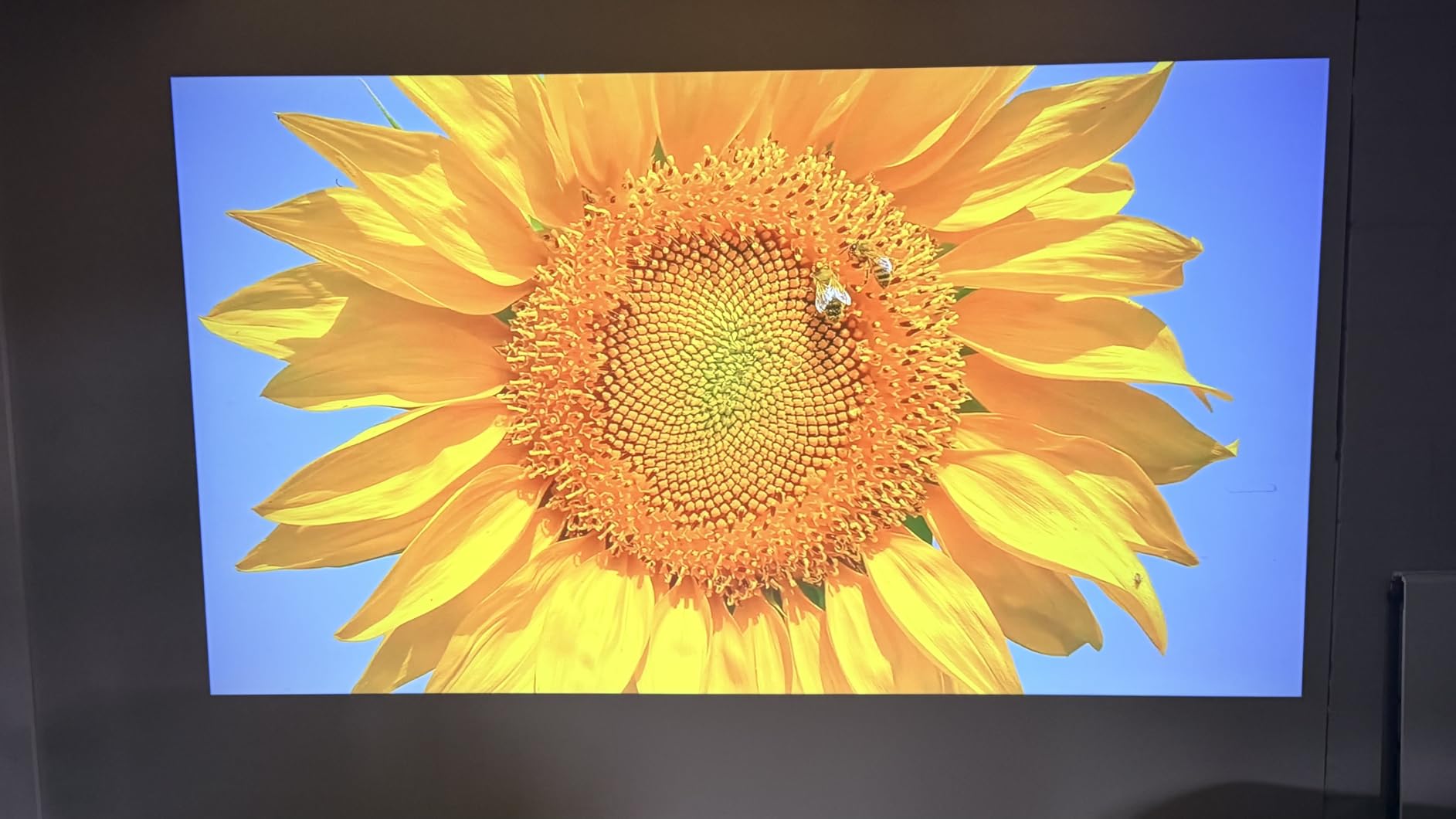 HAPPRUN 2000 ANSI 4K Decoding Projector with WiFi and Bluetooth, Auto Focus customer photo 1