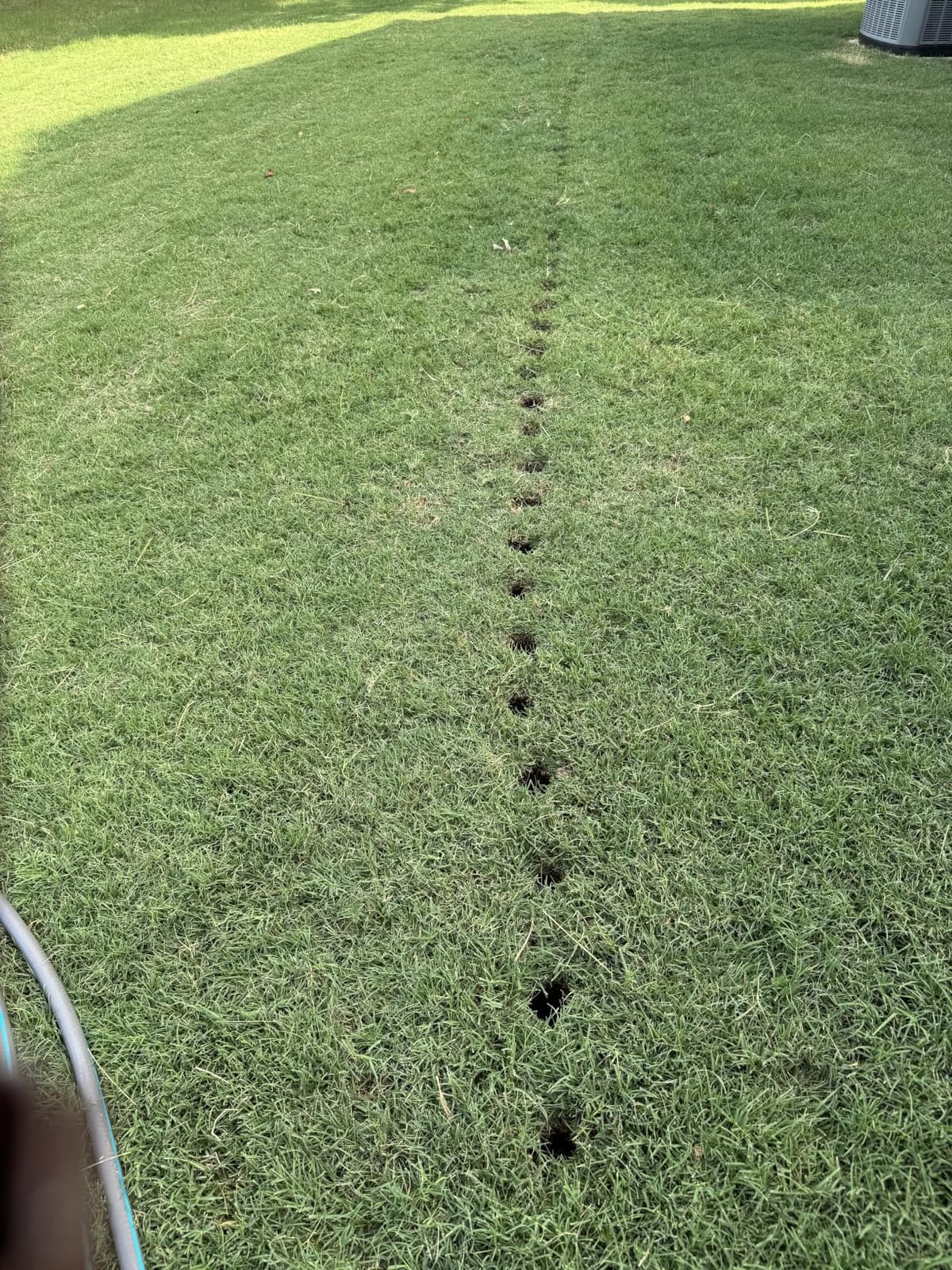 Dolibest Sod Plugger, Bulb Planter Tool with Non-Slip Grip Handle. Turf Cutter and Grass Plugger Tool with Dual Pedals, Sharp Serrations, Perfect for Zoysia, Bermuda and More (Upgrade) customer photo 2