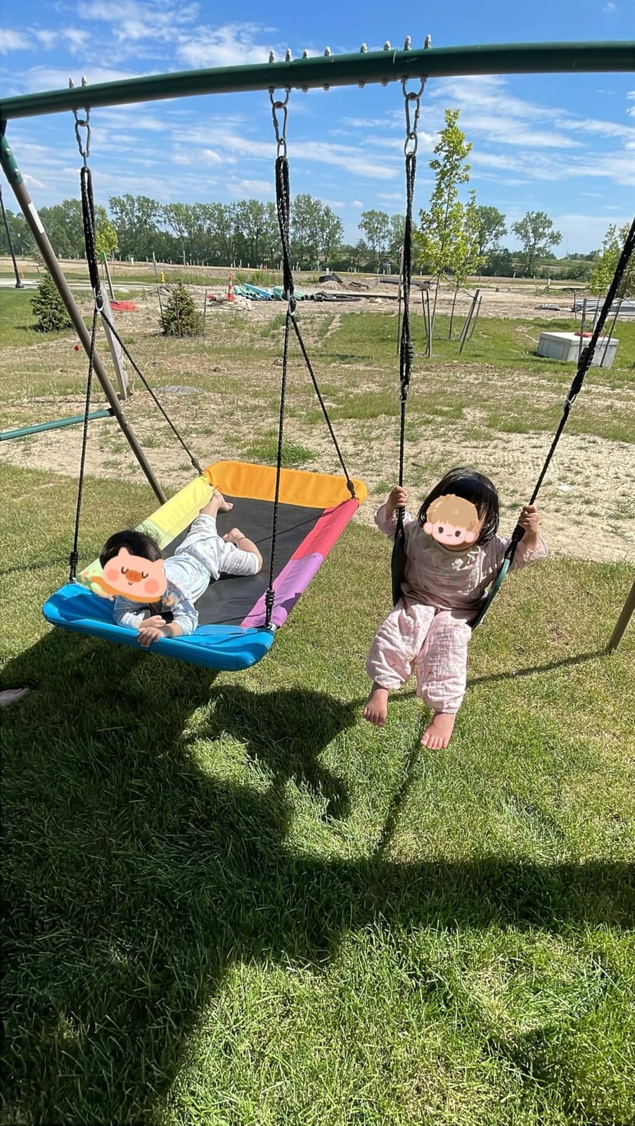 Hapfan Metal Swing Sets for Backyard for Kids with Double Tree Swings | 45
