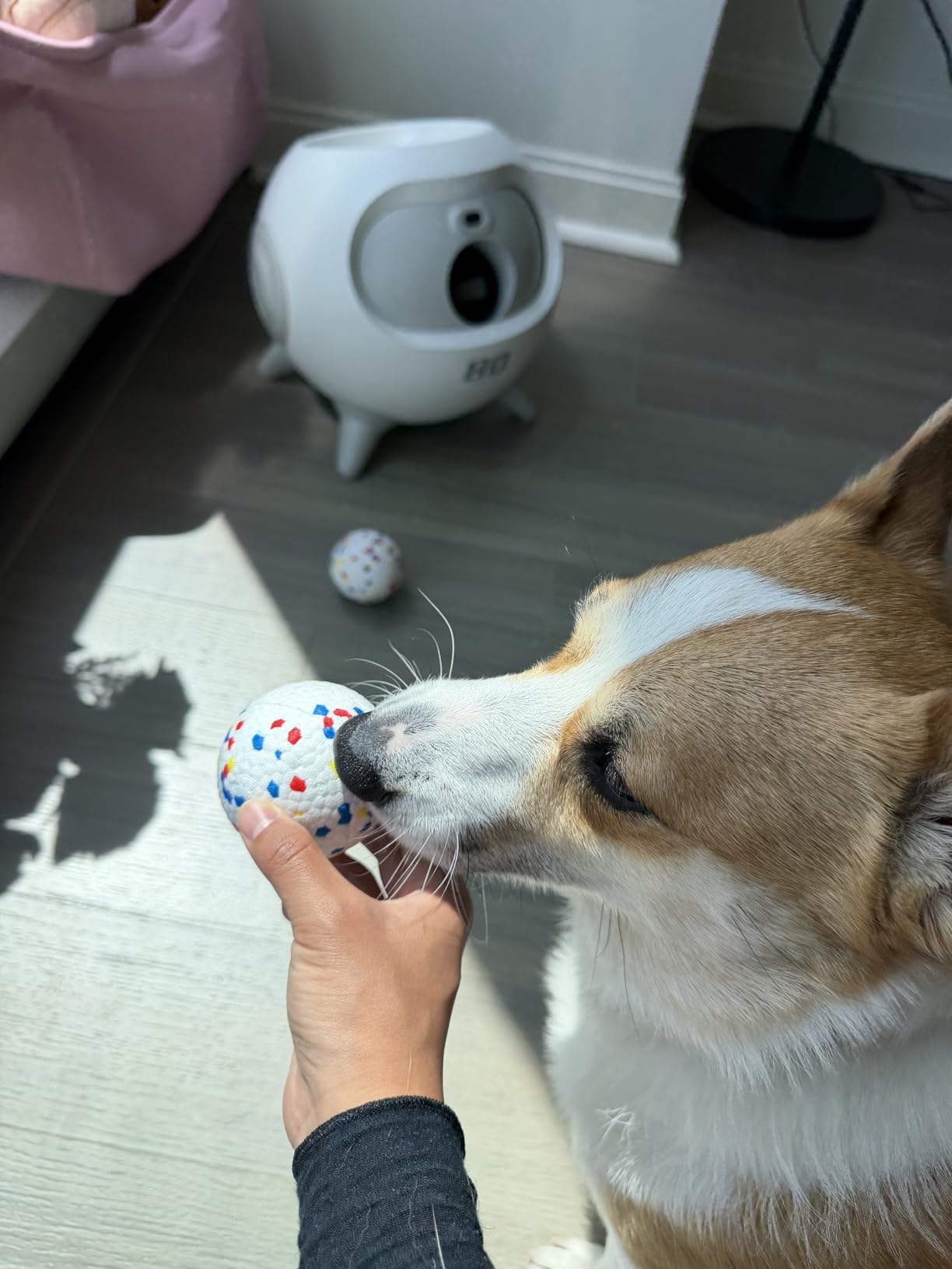 uahpet Automatic Ball Launcher for Dogs with Obstacle Detection, 20ft-80ft Adjustable Distances Ball Thrower Launcher for Medium & Large Dogs, with 4 Balls (2.5 inches) customer photo 2