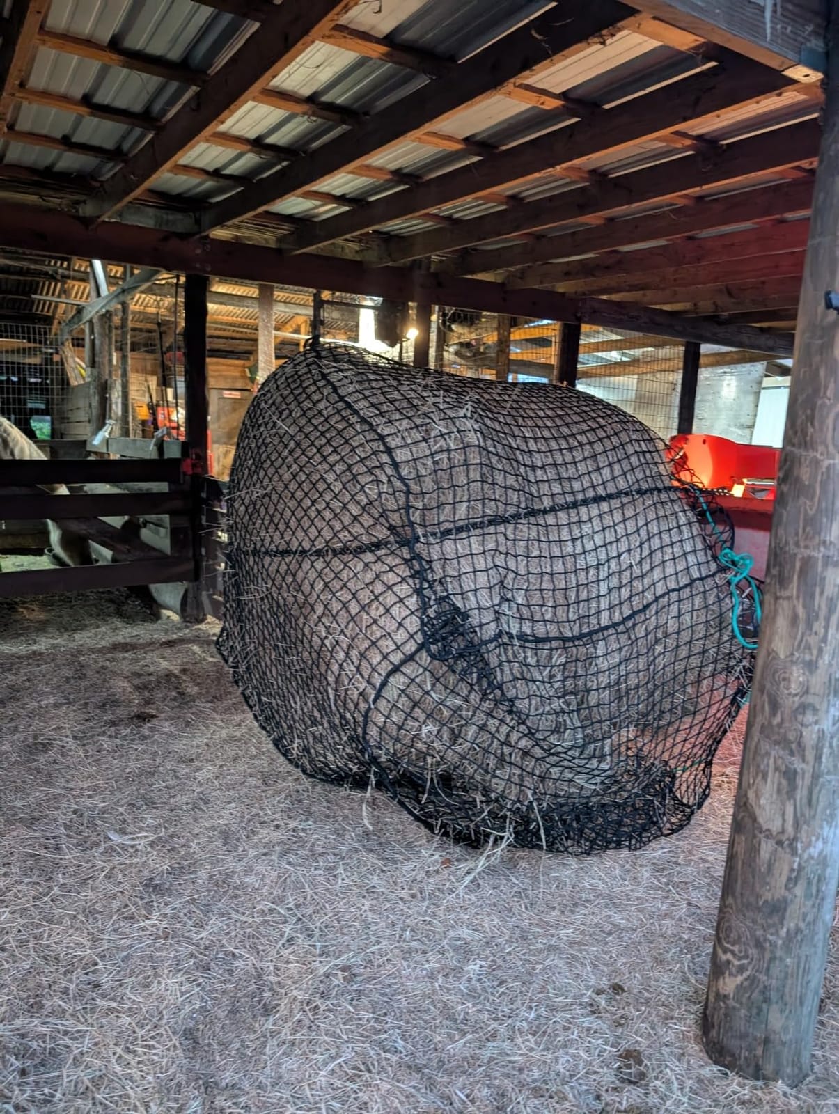 5x5 Ft Knotless Round Bale Hay Net for Horses, Livestock Feeder customer photo 1