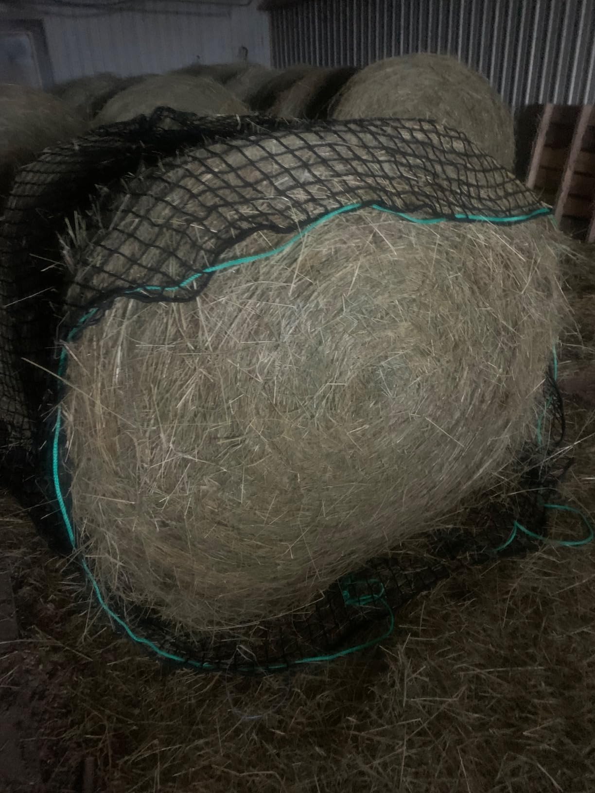 5x5 Ft Knotless Round Bale Hay Net for Horses, Livestock Feeder customer photo 2