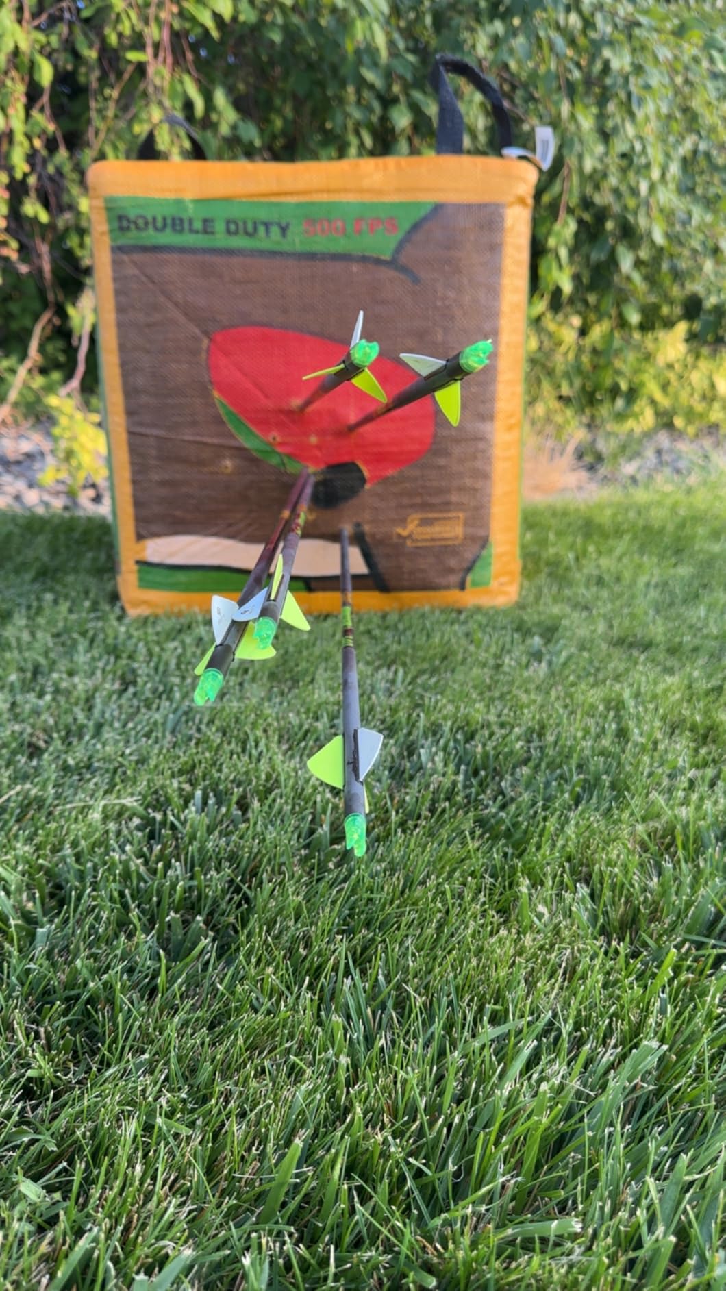 Morrell Targets 4-Sided Double Duty Field Point Archery Shooting Bag - Portable Backyard & Outdoor Target for Bows up to 500 FPS with 50+ Bullseye Points customer photo 1