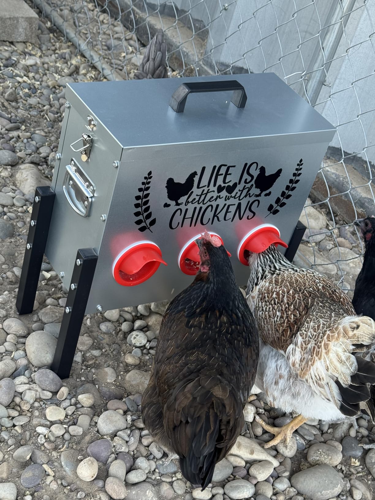 Tgeyd 30 lb Chicken Feeder with 6 No-Waste Ports – Heavy-Duty Outdoor Metal Feeder with Adjustable Height, Locking Lid & Riveted Handles – Rustproof Feed Box for Poultry & Backyard Chickens customer photo 1