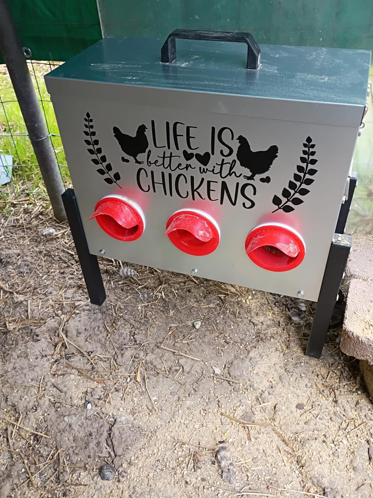 Tgeyd 30 lb Chicken Feeder with 6 No-Waste Ports – Heavy-Duty Outdoor Metal Feeder with Adjustable Height, Locking Lid & Riveted Handles – Rustproof Feed Box for Poultry & Backyard Chickens customer photo 2