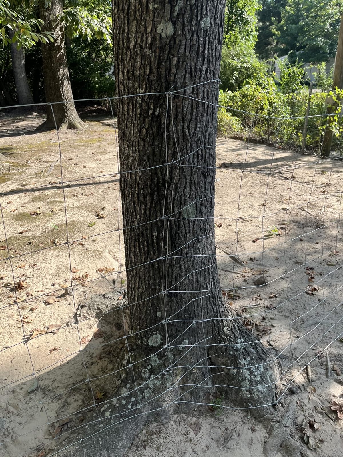 Farm Fence 5ft x 164ft Galvanized Woven Wire Livestock Cattle Fence customer photo 2