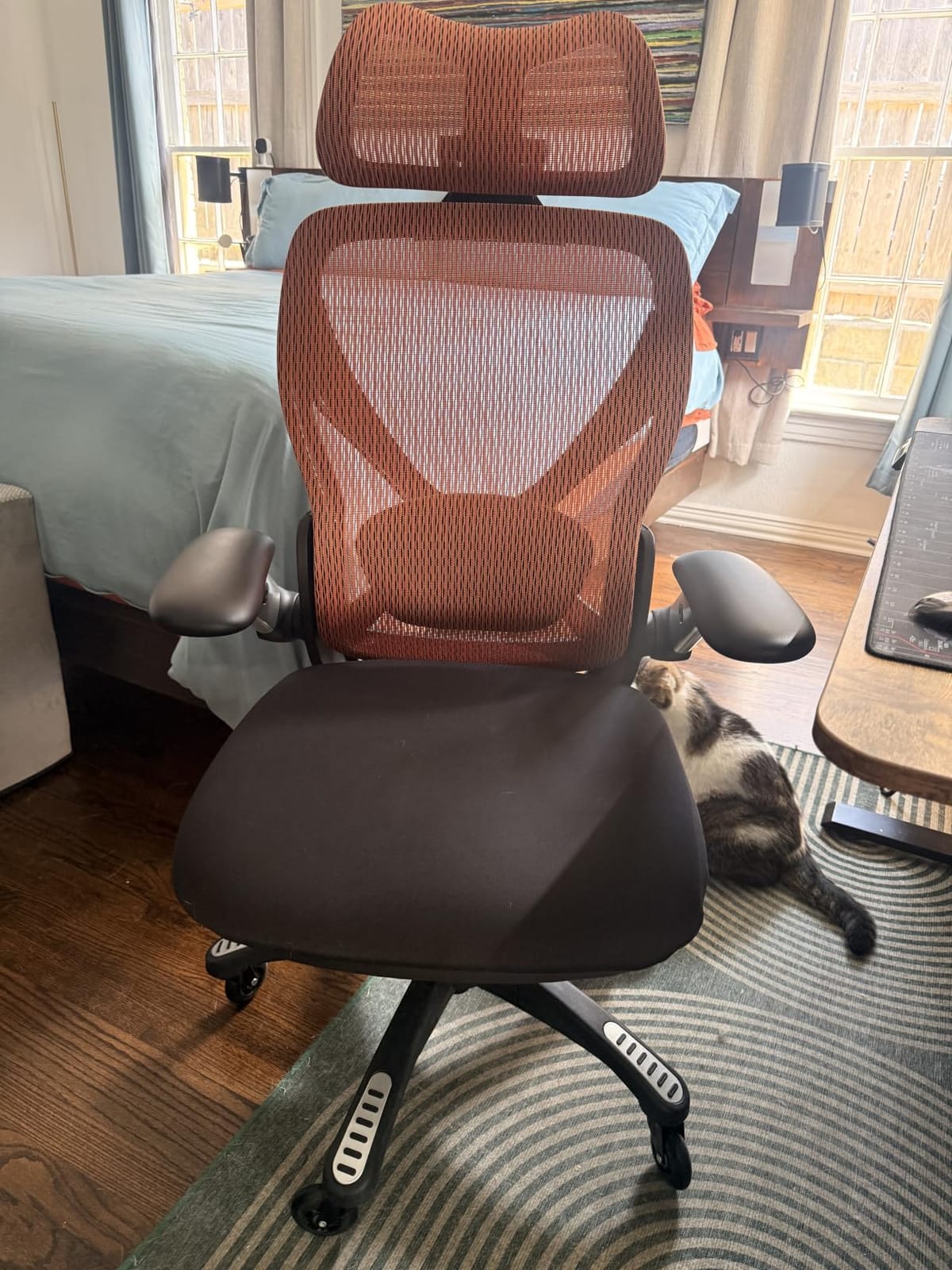 ELABEST X100 Ergonomic Mesh Office Chair with Footrest, Big and Tall Hone Desk Chair with 5D Flip-Up Arms, Adjustable 3D Lumbar Support,Gaming & Executive Computer Chairs customer photo 2