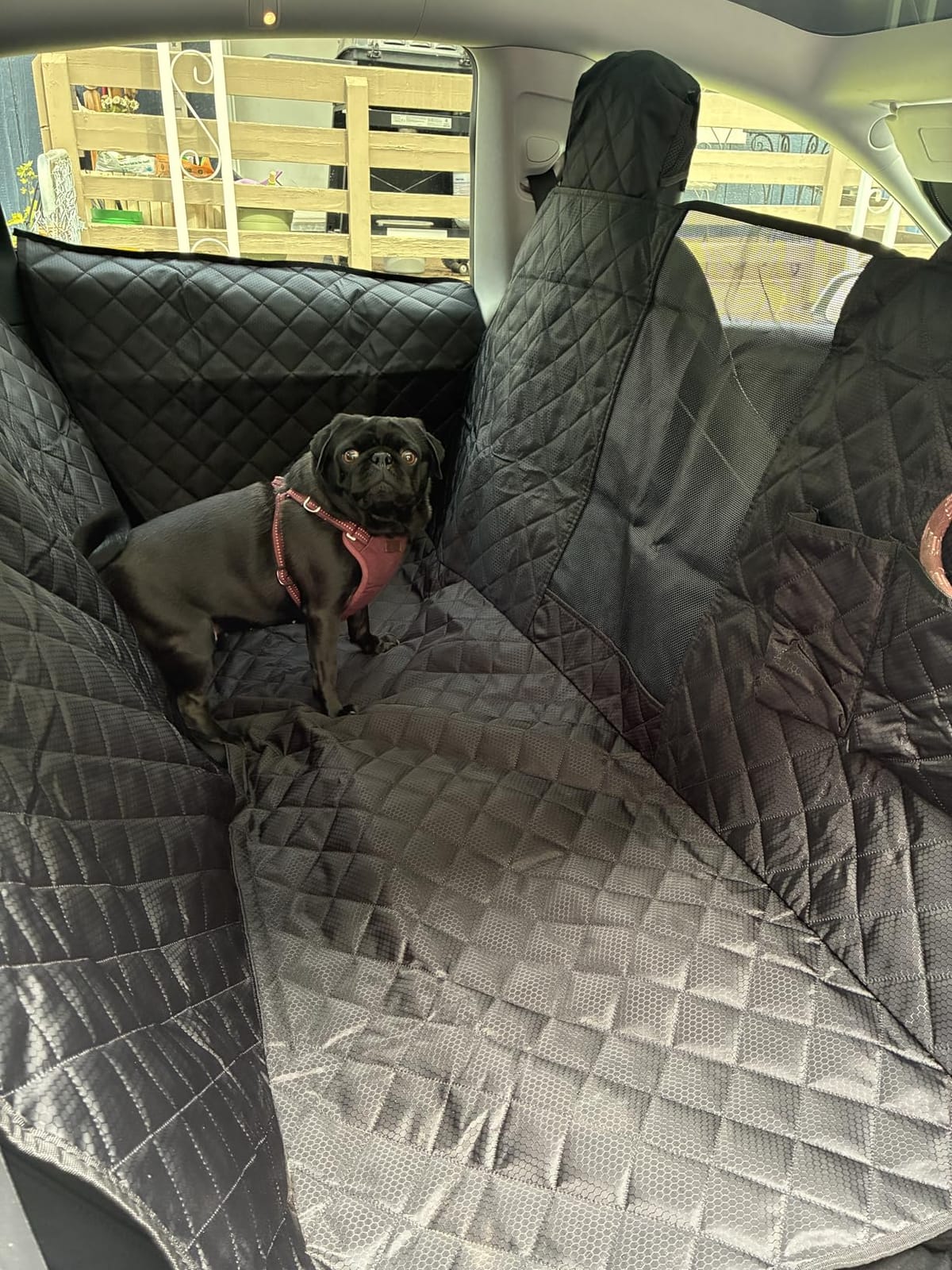PETICON Dog Seat Cover for Tesla Model 3 & Y Back Seat + 2 Door Protectors | Waterproof Dog Hammock with Mesh Window Keeps Seats Pristine, Includes Headrest & Door Protection from Scratches and Scuffs customer photo 1
