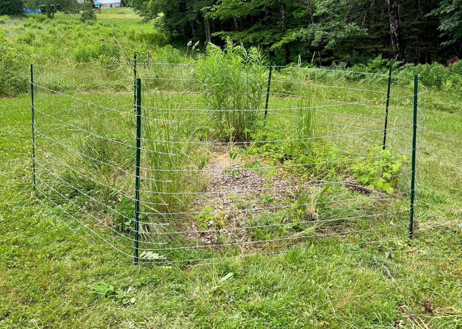 Farm Fence 6ft x 100ft Heavy Zinc Coating Field Wire Fencing, Galvanized Livestock Deer,Goat Fence,Hog Wire Fencing Used to Yard and Garden customer photo 2