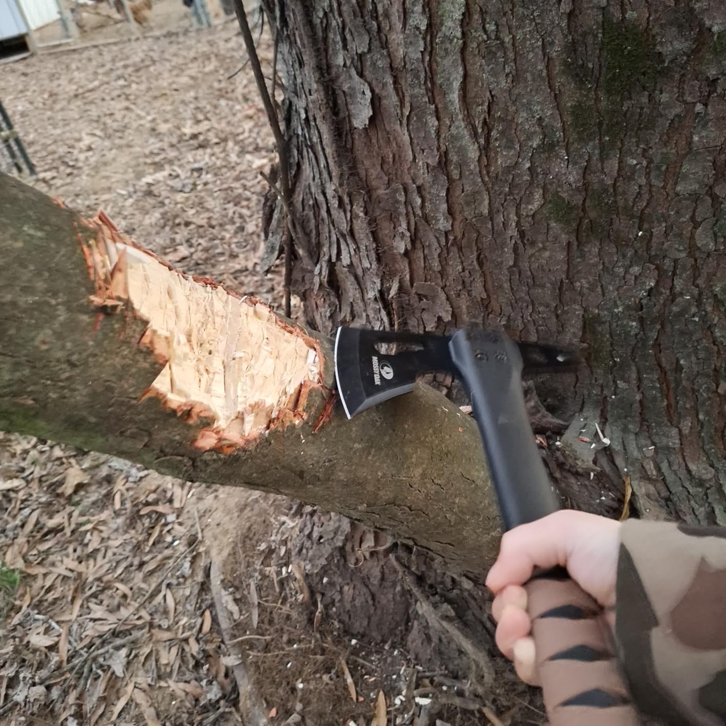 MOSSY OAK 12