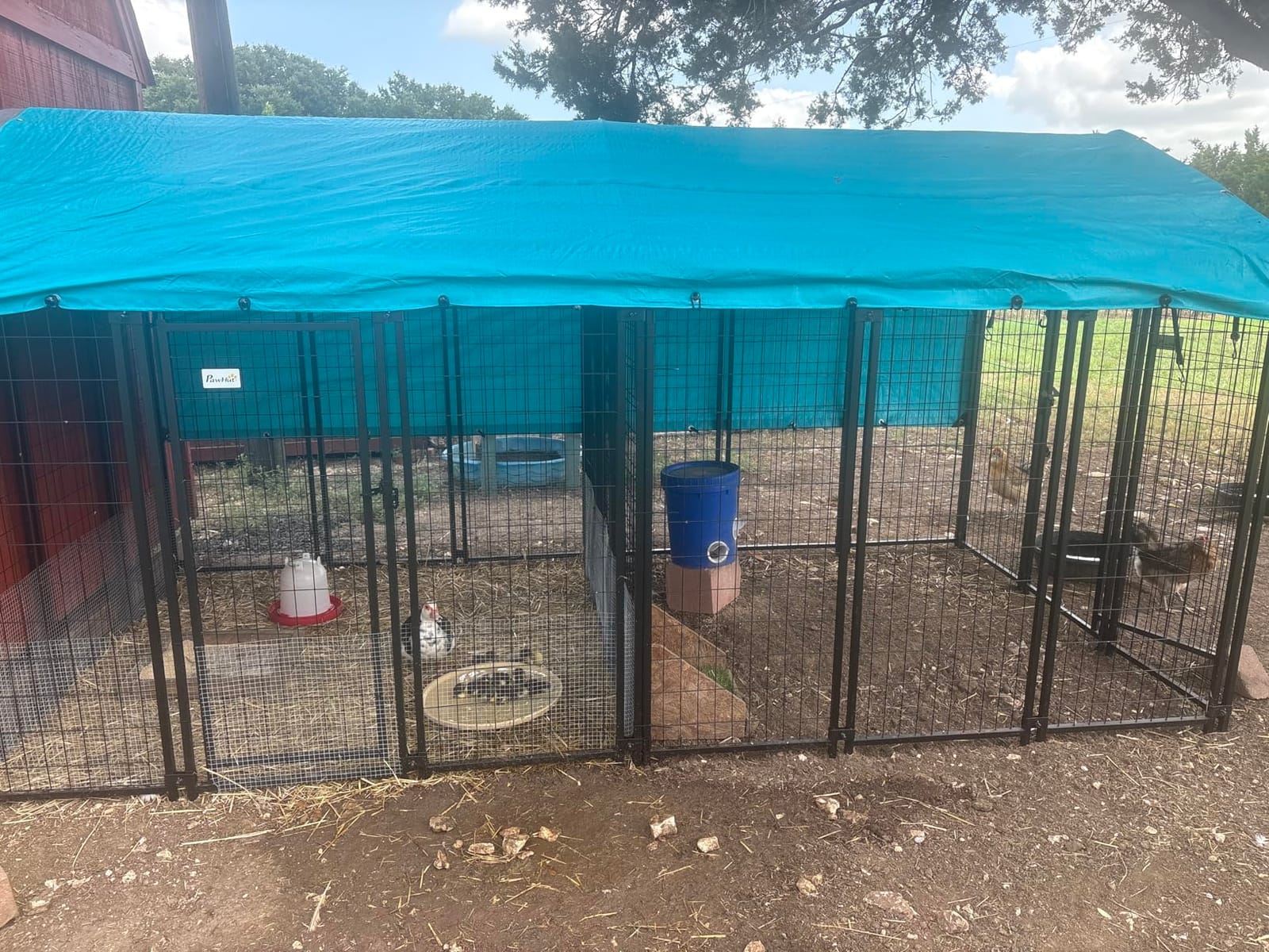 PawHut Outdoor Dog Kennel with Roof, 6' x 6' x 6' Heavy Duty Welded Wire Dog Playpen Enclosure with Escape-Proof Lock, UV-Resistant & Waterproof Cover, for Large Dogs, Chickens, Ducks, Silver customer photo 2