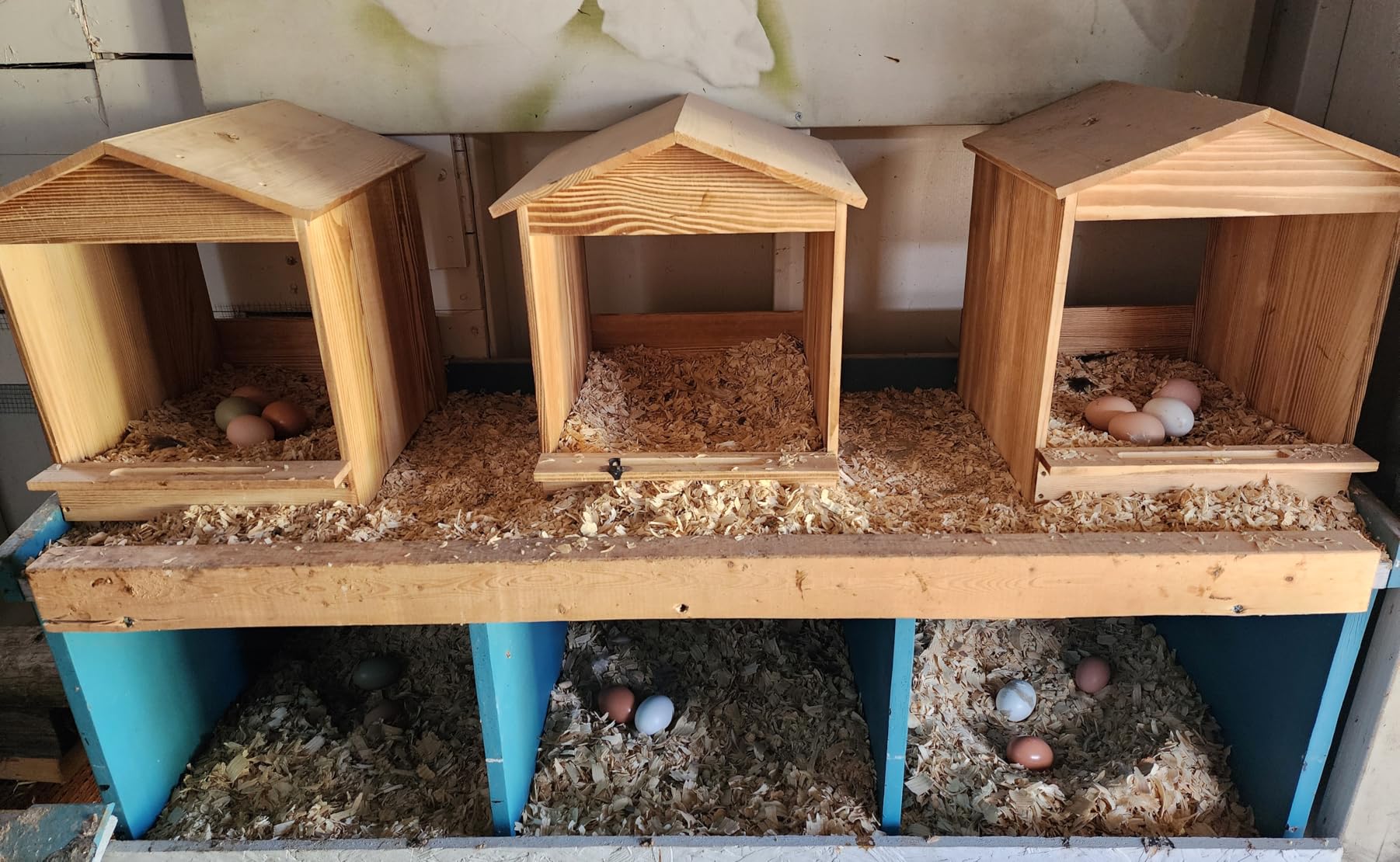 Chicken Nesting Box 3 Compartments - Wall Mount Wooden Egg Laying Nest Box for Chicken Coop, Easy to Assemble & Versatile Use for Hens, Ducks, Chickens customer photo 1