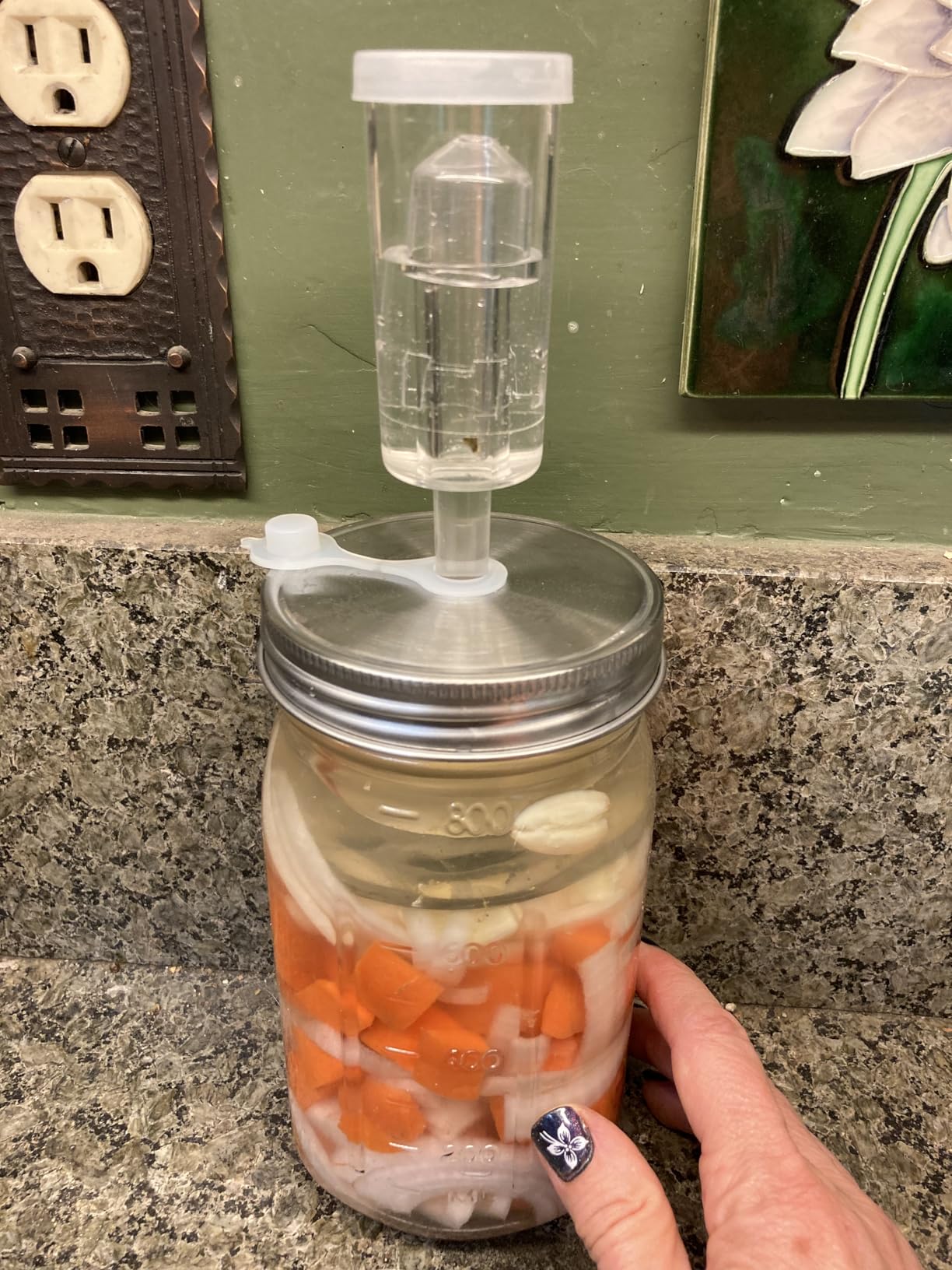 32 oz Mason Jar Fermentation Kit, 2 Pack Fermentation Jars, Fermentation Lids, Fermenting Weights and Airlocks, Complete Fermenting Kit for Making and Storing Sauerkraut(Pack of 2) customer photo 1