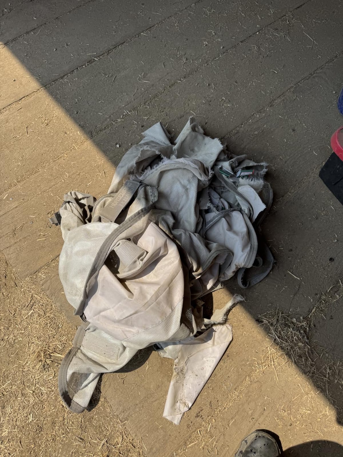 Horseware® Amigo® Integrated Fly Sheet - Silver/Titanium Grey & Silver, 81 customer photo 1