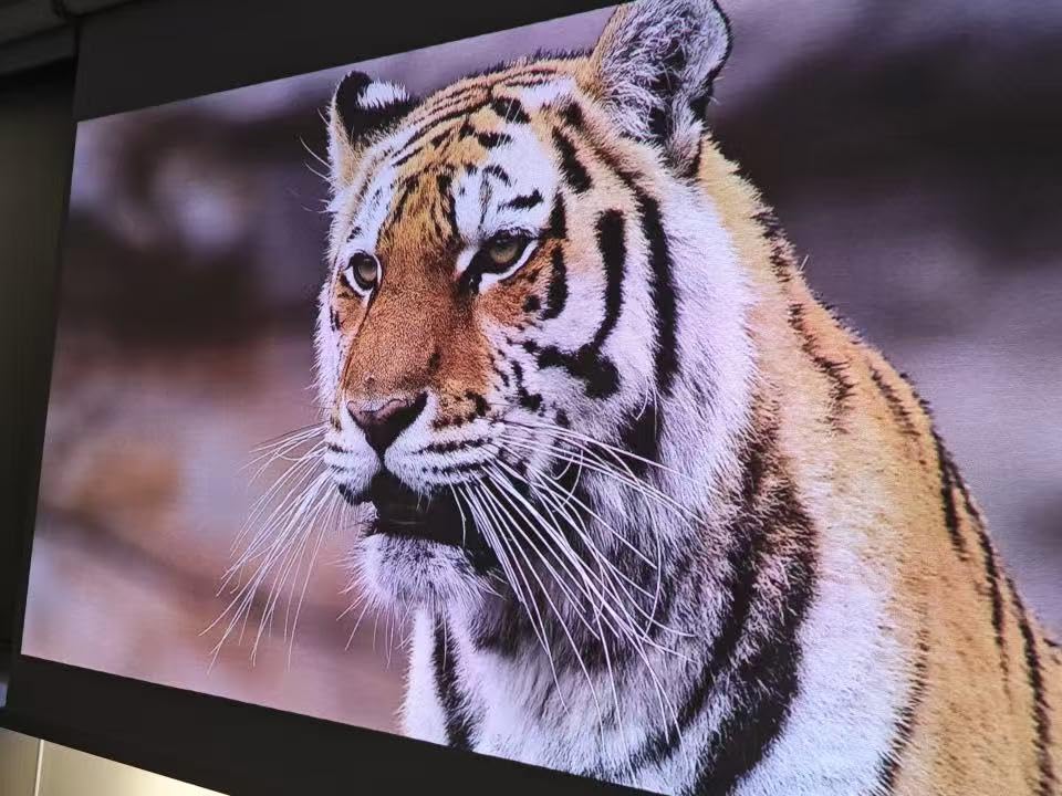 XGIMI MoGo 4 Laser Projector Collection, Outdoor Kit with PowerBase Stand customer photo 1