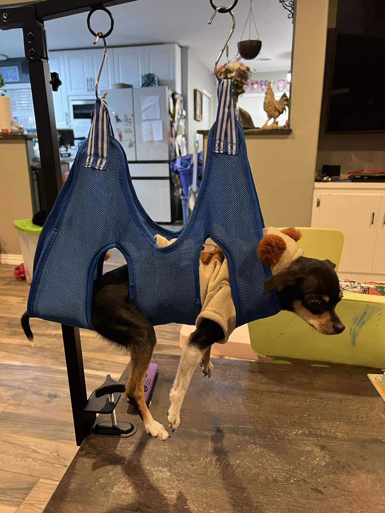 Adjustable Foldable Dog Grooming Arm with Heavy-Duty Clamp: 26
