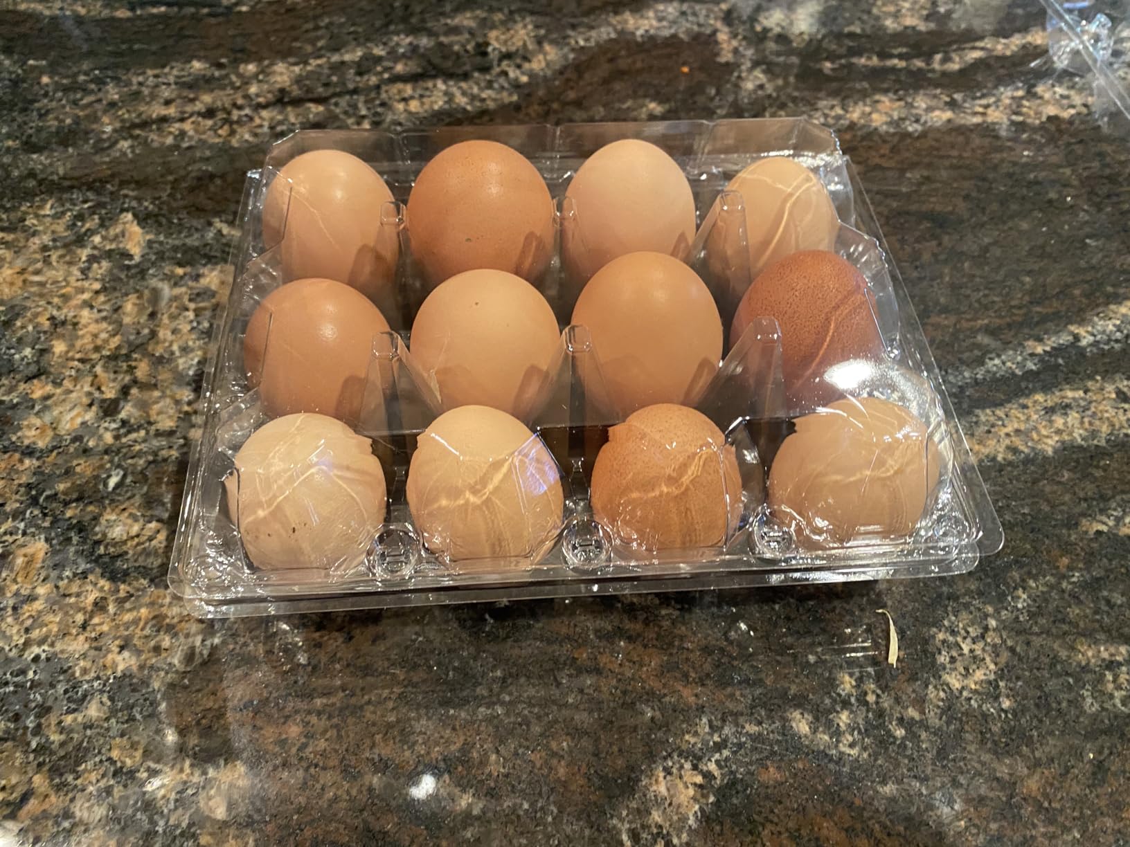 100 Pack Clear Plastic Egg Cartons, Reusable Stackable Egg Containers for Farm, Market & Fridge Storage, 3×4 Grid customer photo 1
