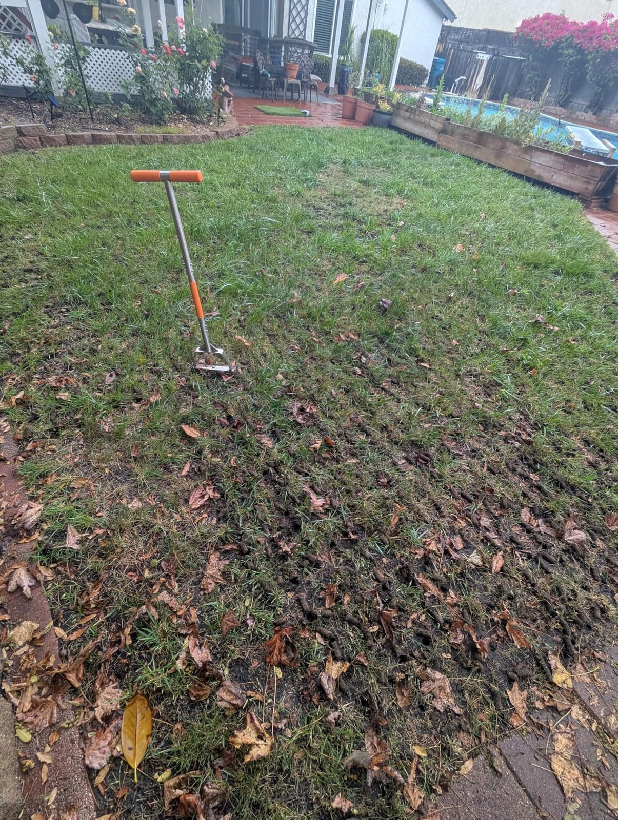Manual Lawn Core Aerator for Compacted Soil with Non-Clogging Hollow Tines customer photo 1