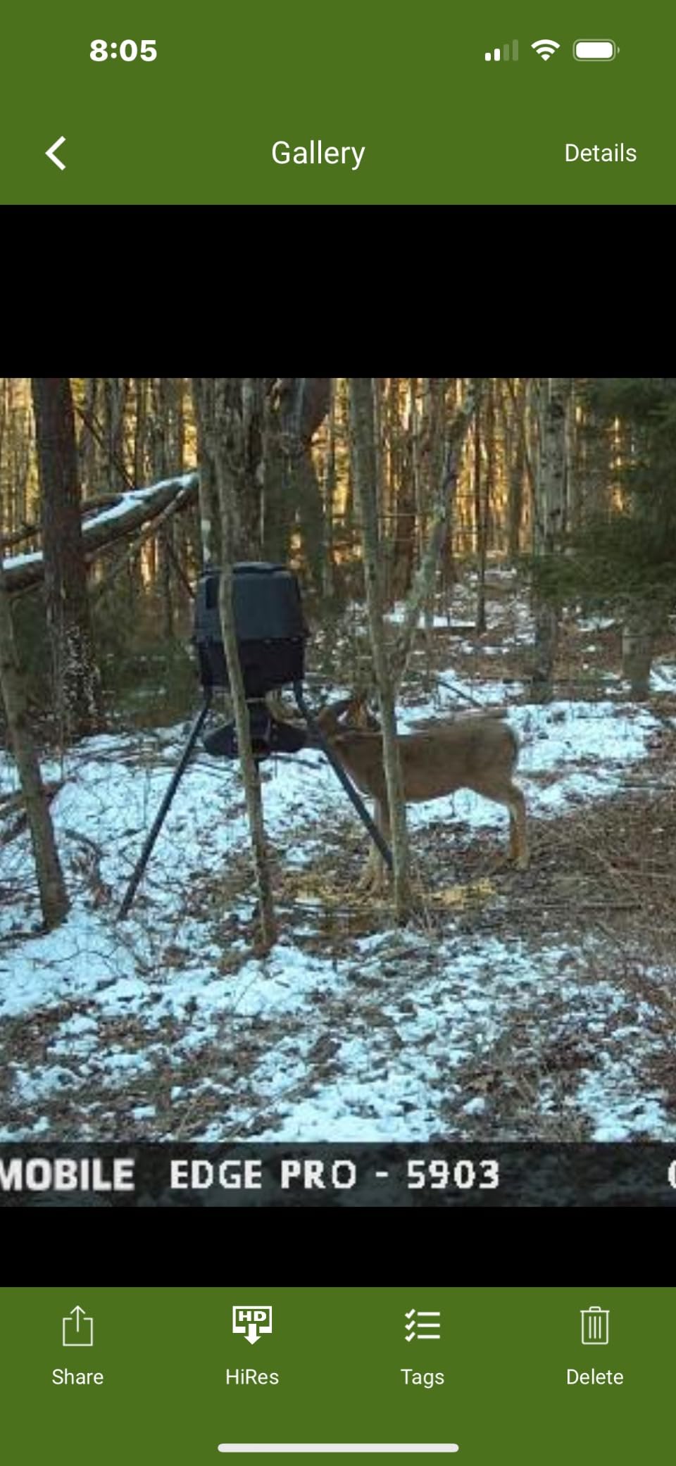 Moultrie Gravity Deer Feeder - Tripod Game Feeder - Easy Conversion Adapter customer photo 1