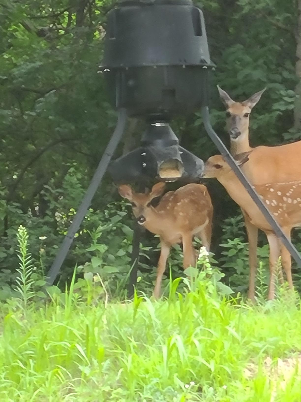 Moultrie Gravity Deer Feeder - Tripod Game Feeder - Easy Conversion Adapter customer photo 2