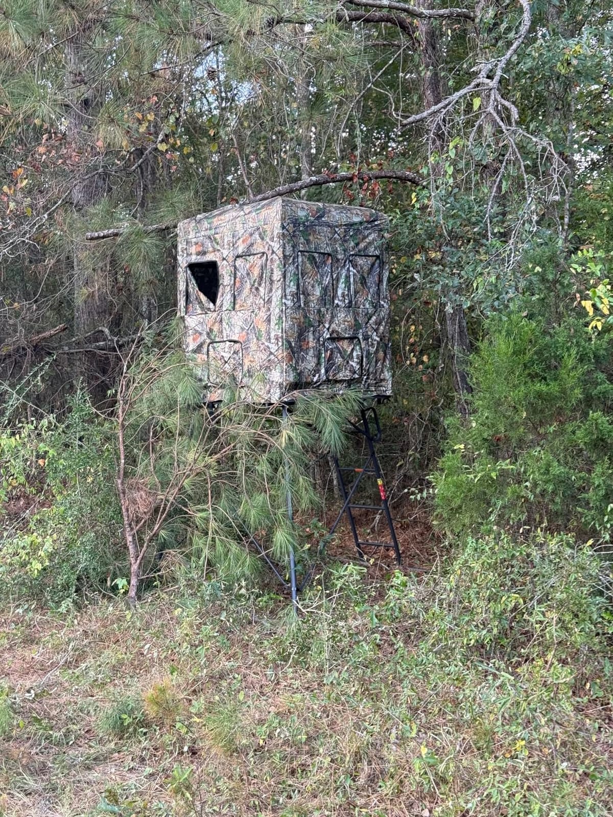 5/6FT Hunting Stand with Blind, 1-2 Man 4' x 4' Platform Deer Stand Tripod | Hunting Tower with 360 Degree See Through Blind, Elevated Ground Platform, Camouflage, Heavy Duty Stand for Deer Hunting customer photo 1