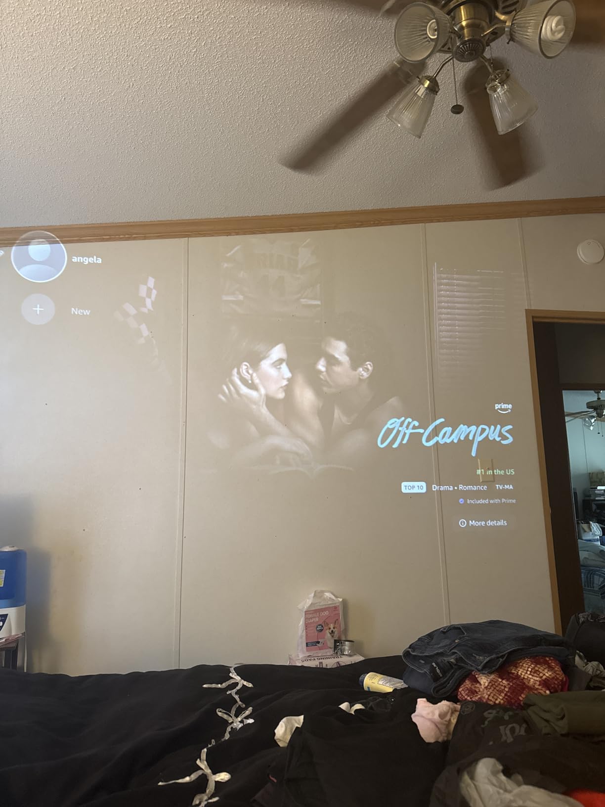 HAPPRUN 1500 ANSI 4K Decoding Outdoor Projector with Built-in Streaming App customer photo 2