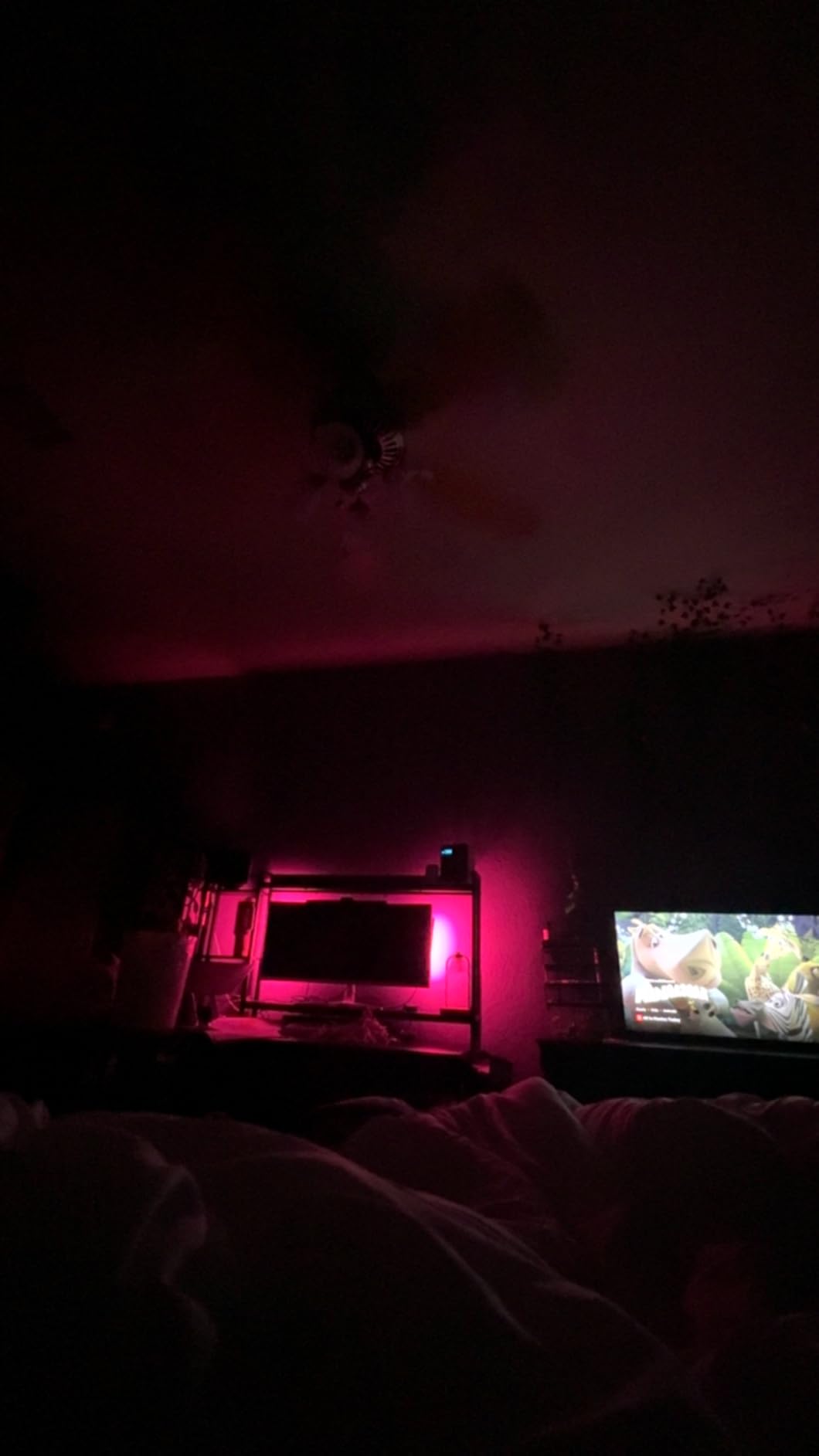 Govee Star Projector Lights, 7-Zone Nebula Effect, Compatible with Matter customer photo 2