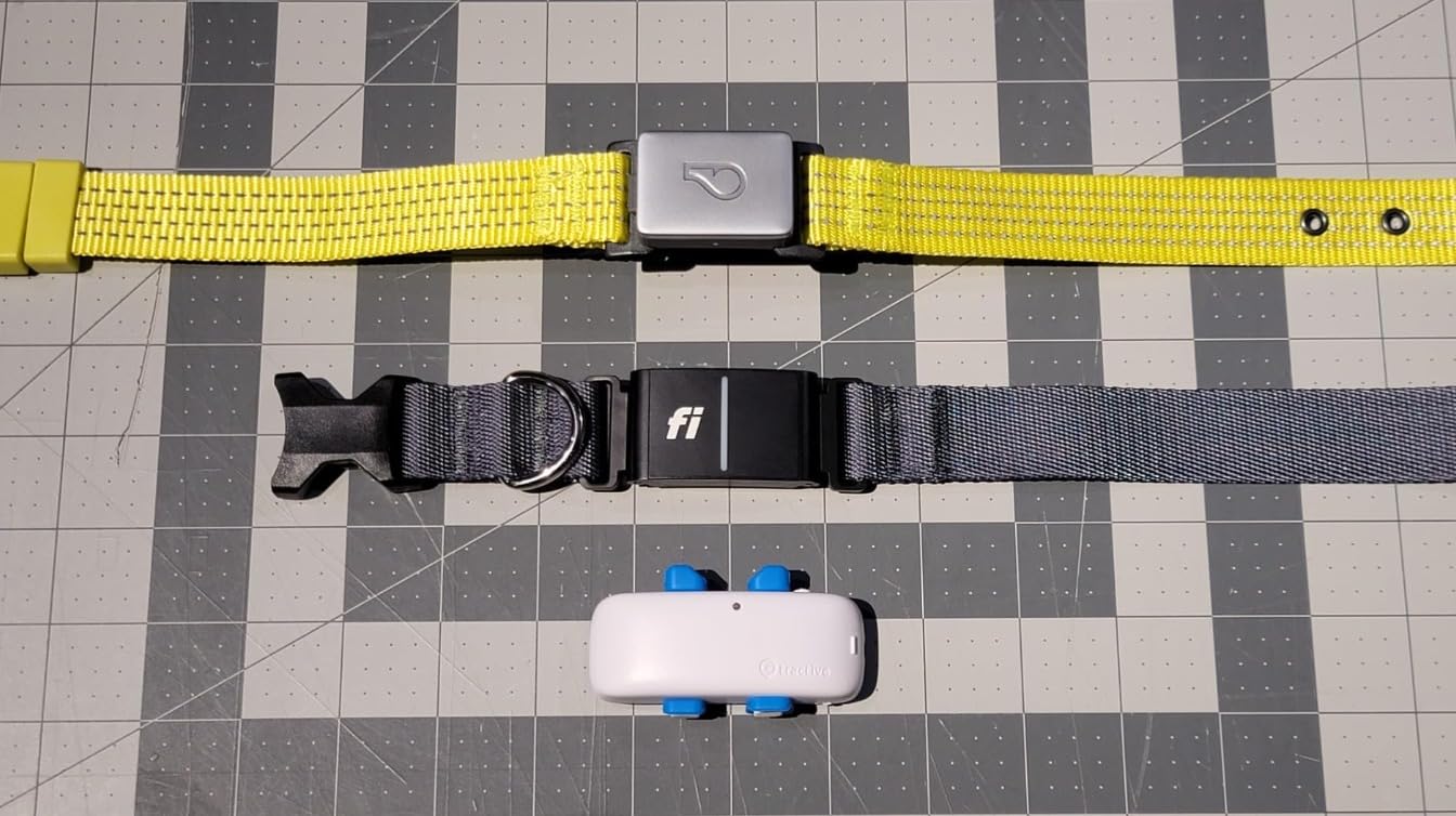 Fi Series 3+ GPS Dog Collar & Tracker, 12-Mo Membership Included, Blue L | Live GPS tracking & escape alerts, virtual fence safe zones, health & behavior monitoring, activity & sleep insights customer photo 2