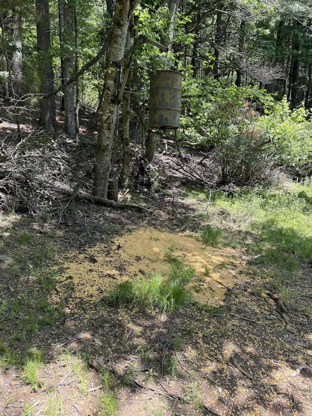 Moultrie Pro Hunter III Feeder Kit - Bluetooth App Control customer photo 2