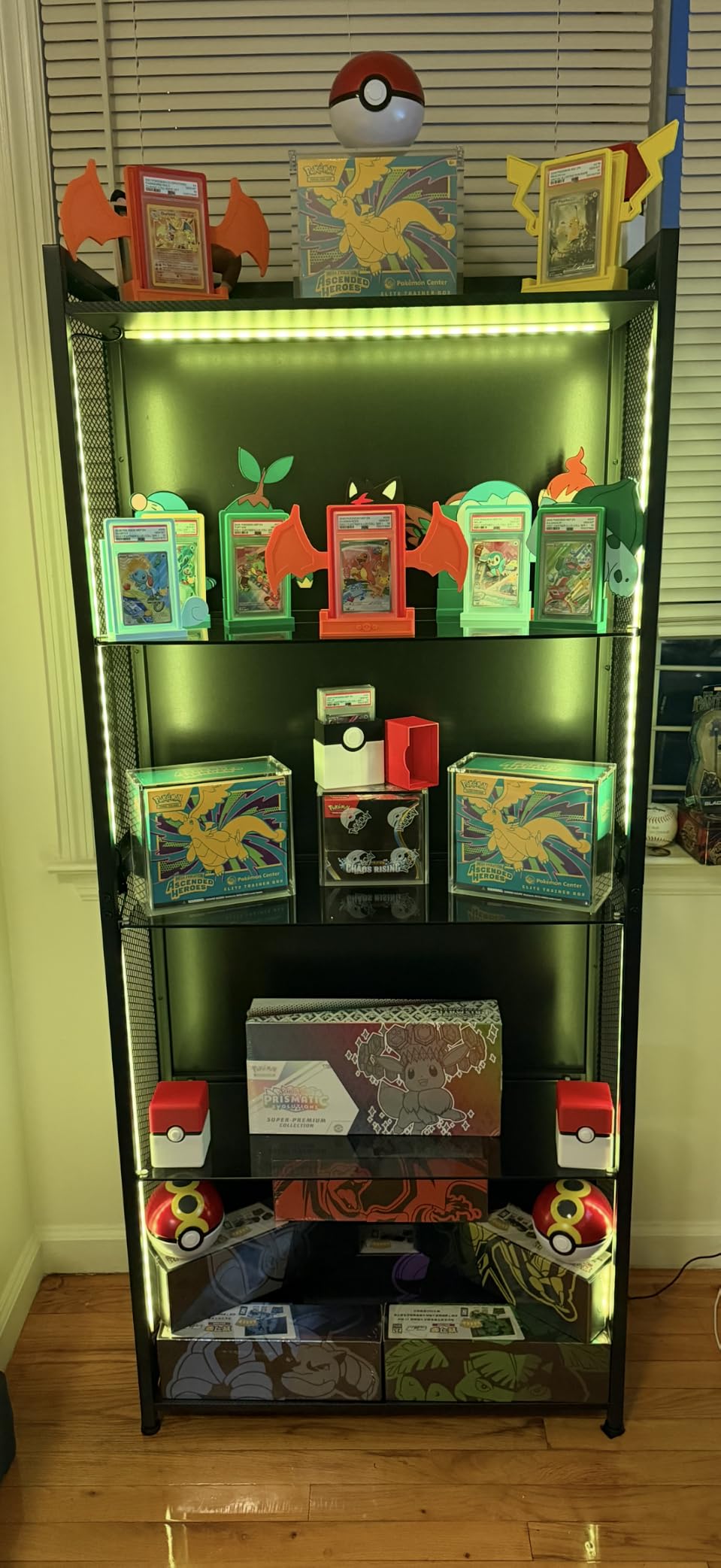 AODK Display Case with Glass Shelves & RGB Lights, 4-Tier Display Cabinet customer photo 1