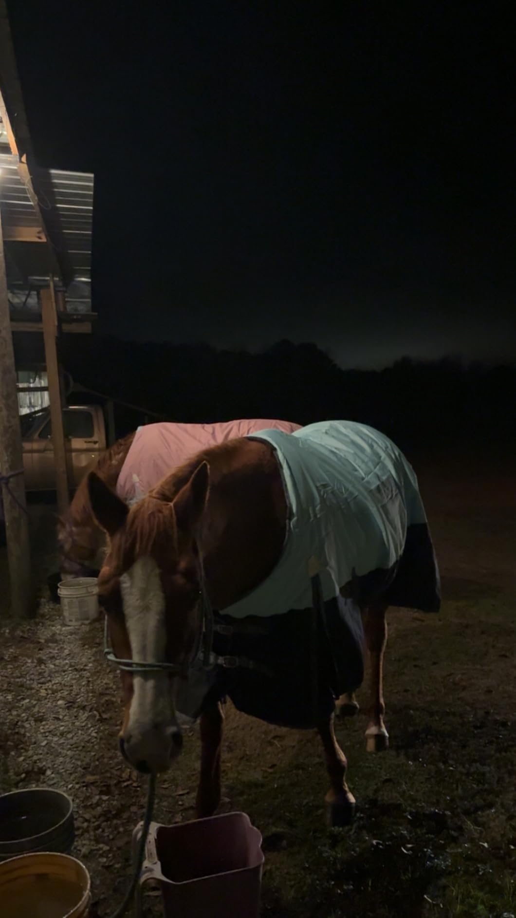 BARN & STABLE 600Denier 3000mm/3000mvp Super Waterproof & Breathable Horse Blankets for Winter with 200g Fill customer photo 2
